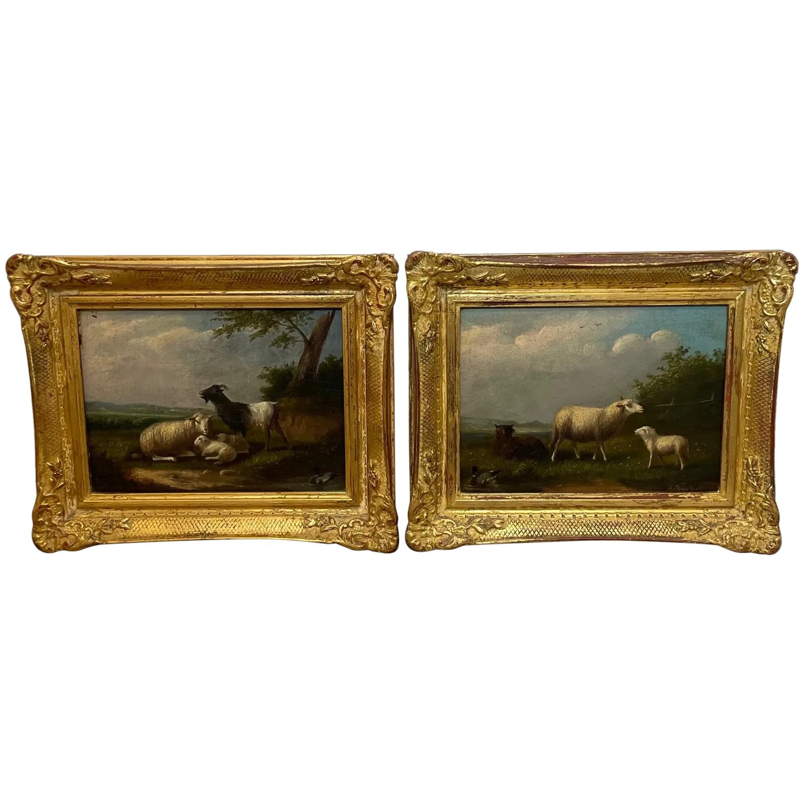 Pair of Oil Paintings Sheep, Lamb, Goat, Cattle & Ducks Signed Franz Van Severdonck (1 of 42)