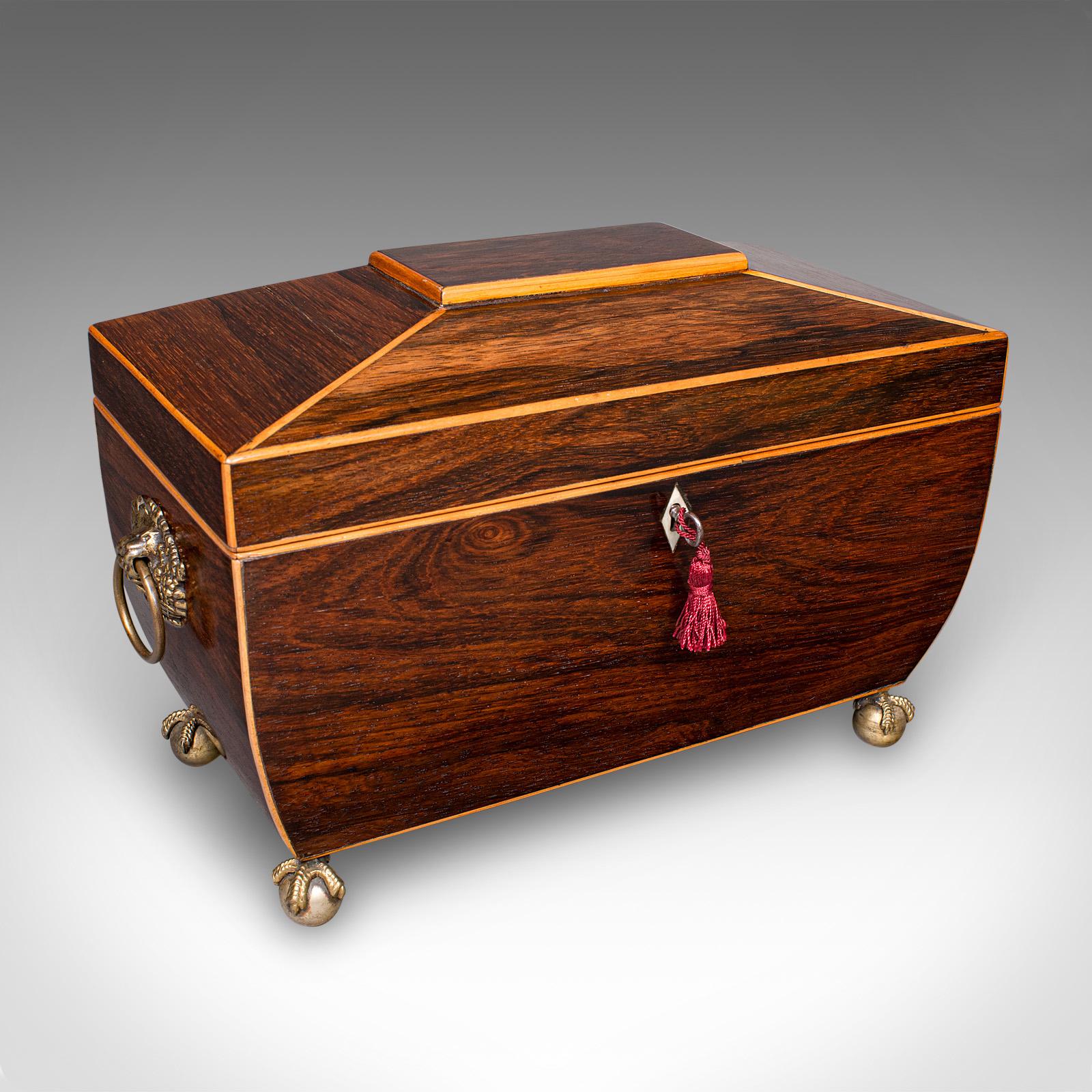 Antique Sarcophagus Tea Caddy, English, Loose Leaf Case - William IV c.1835 (1 of 12)