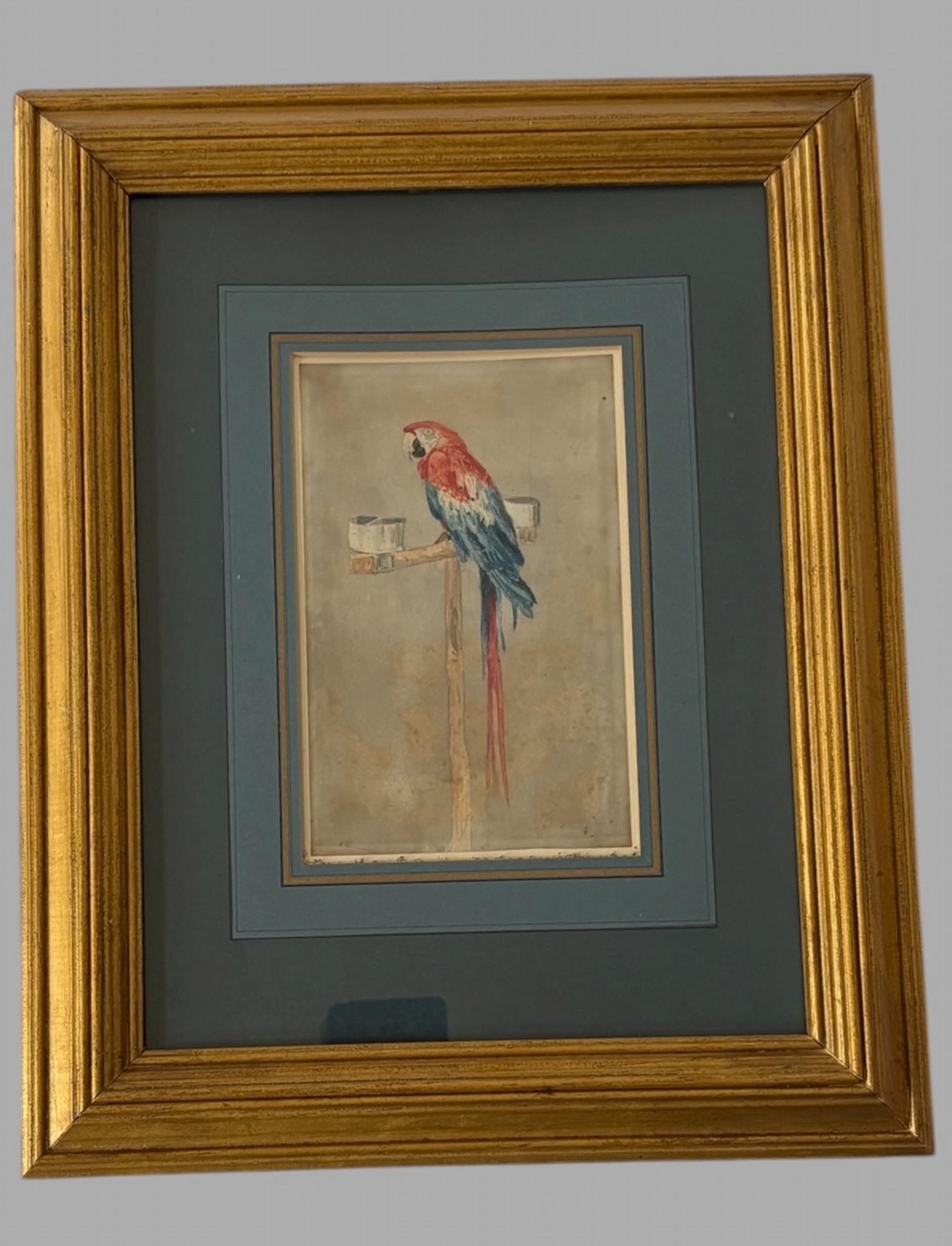 William Andrews Nesfield (1793–1881) “Mother Faux’s Macaw, Farnley Hall” (1 of 4)