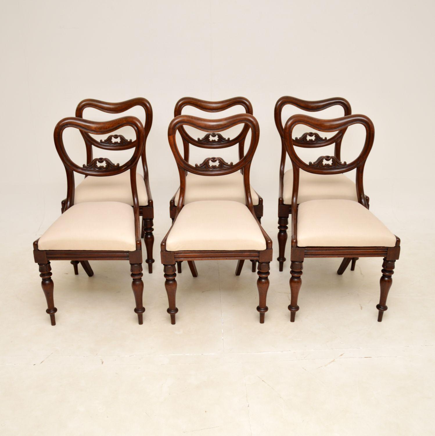 Set of Six William IV Period Mahogany Dining Chairs (1 of 8) Set of Six William IV Period Mahogany Dining Chairs (1 of 8)