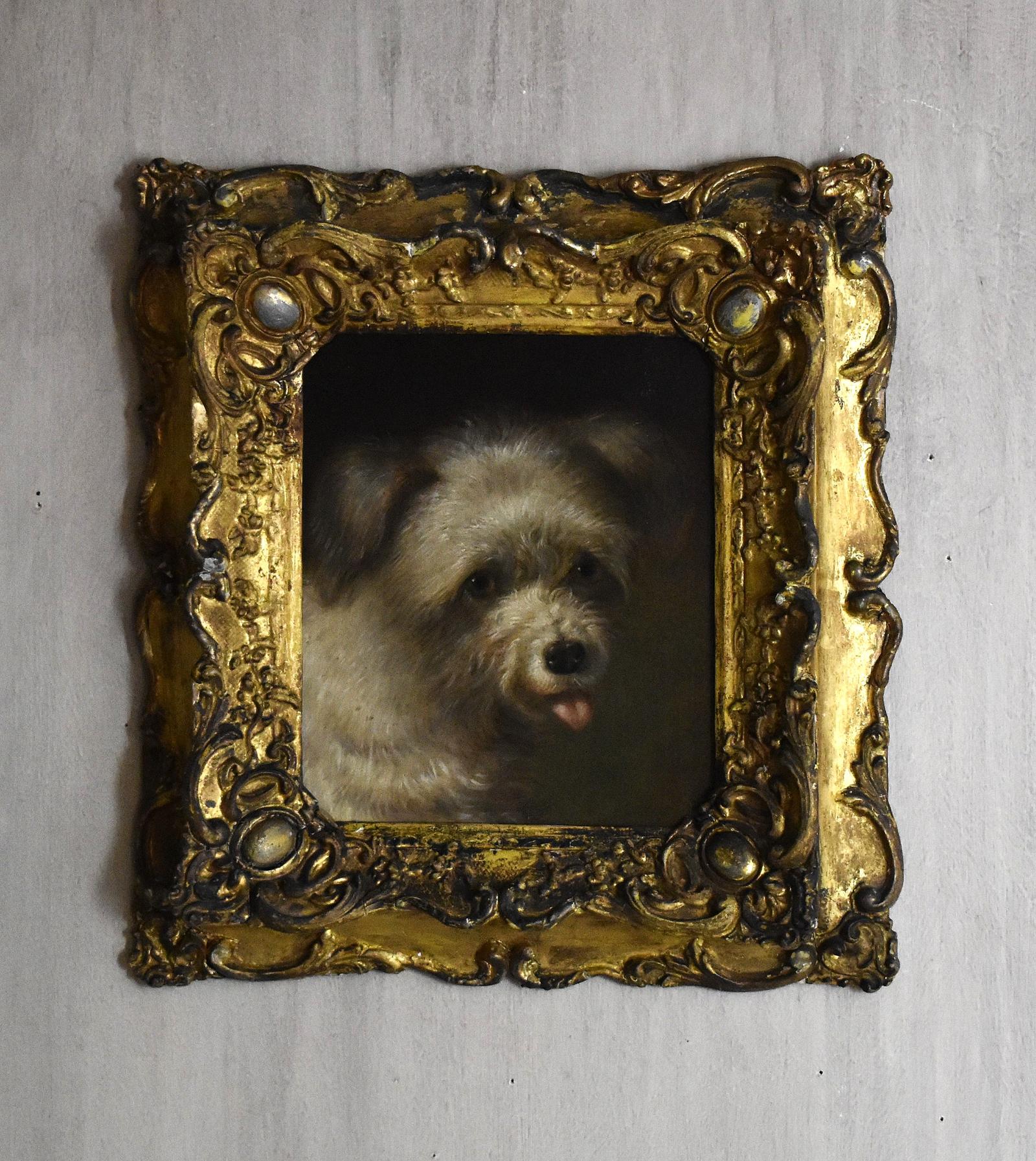 Dog Portrait Oil Painting by Martin Theodore Ward 1799-1874 (1 of 6) Dog Portrait Oil Painting by Martin Theodore Ward 1799-1874 (1 of 6)
