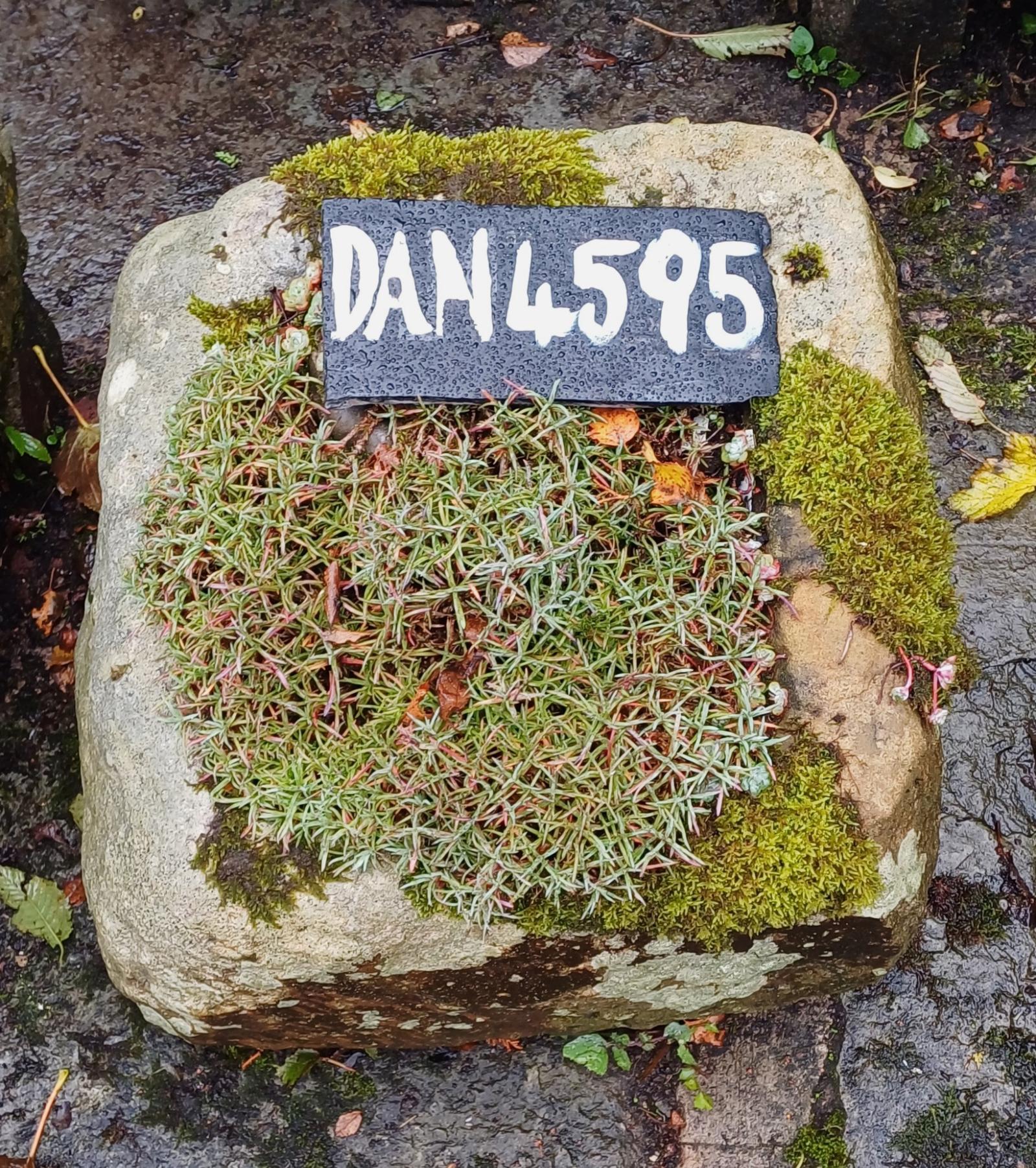 Bonny York Stone Trough or Garden Planter (1 of 1)