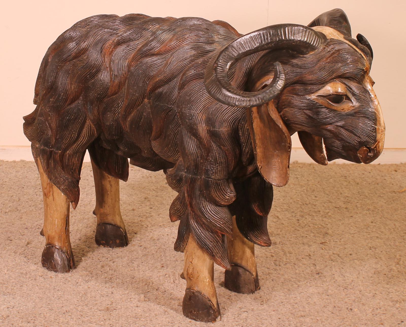Scottish Ram In Polychrome Wood-19 Century (1 of 10)