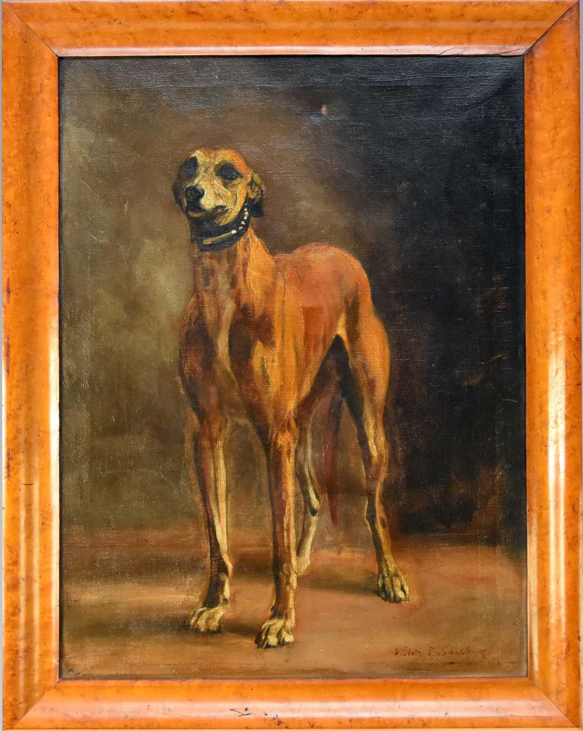 Violet Thorne Seckham - Portrait of a Whippet - Oil on Canvas (1 of 4) Violet Thorne Seckham - Portrait of a Whippet - Oil on Canvas (1 of 4)