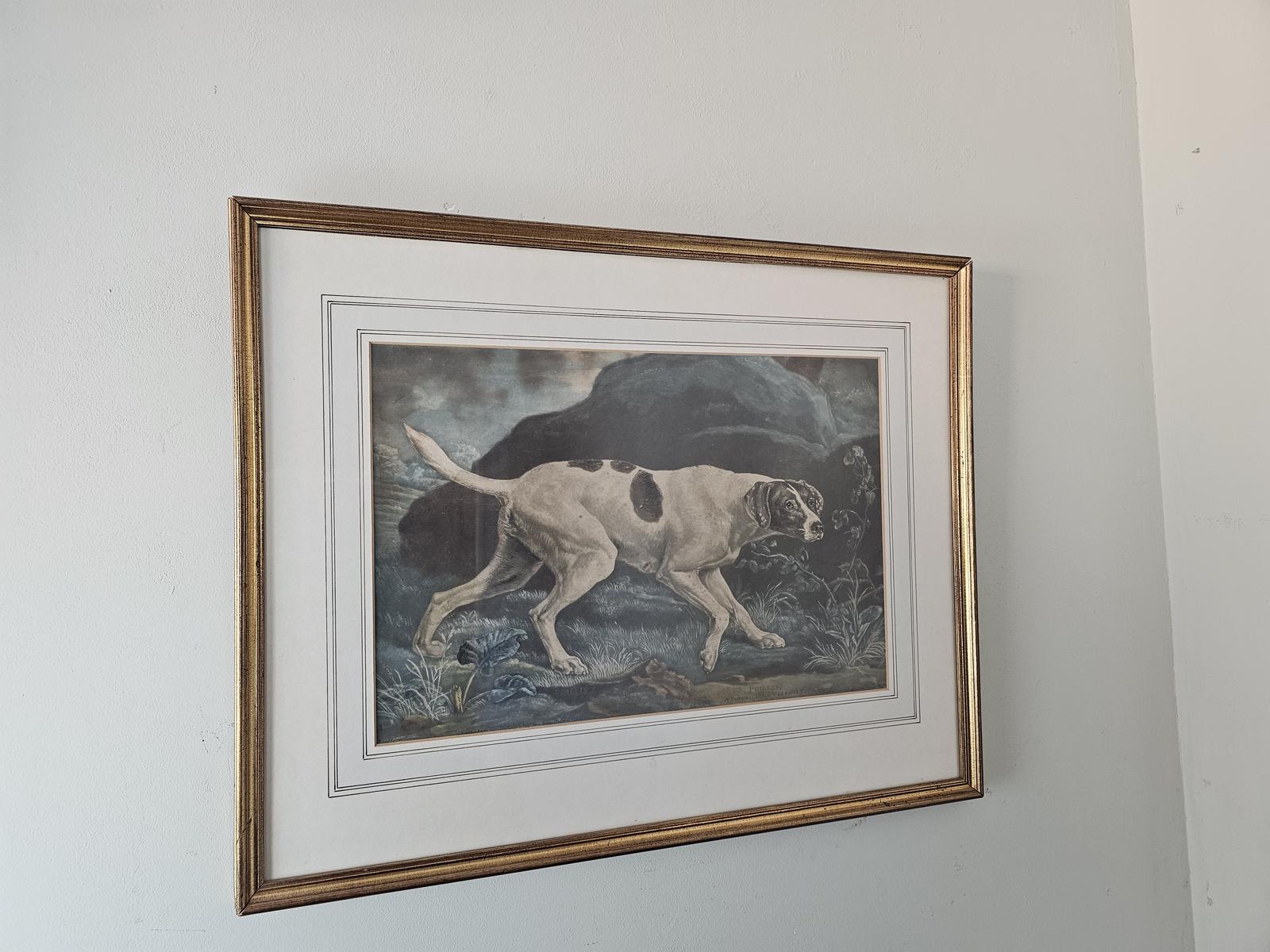 Engraving Picture of Dogs (1 of 4)