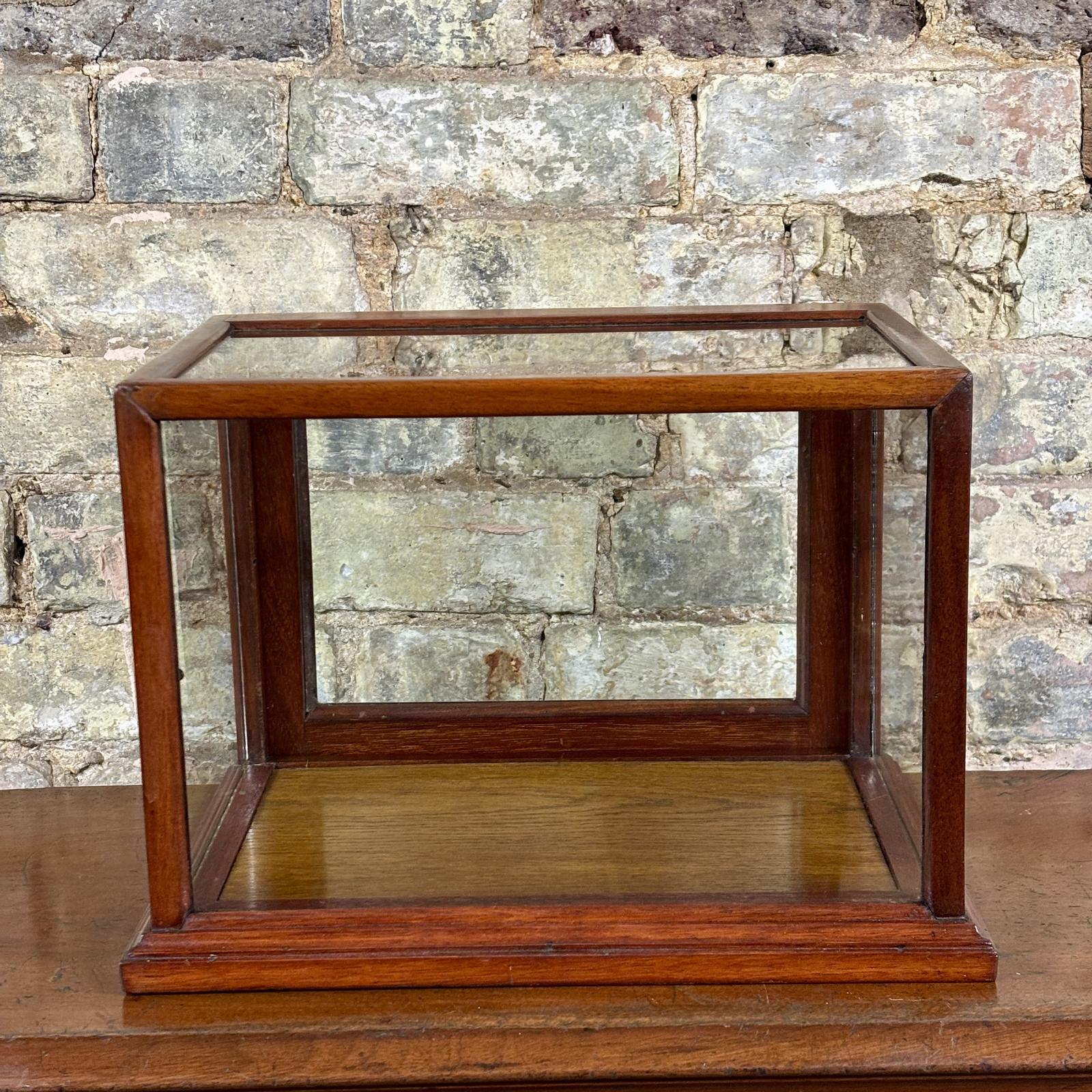 1920s Apothecary’s Countertop Display Cabinet (1) (1 of 6)