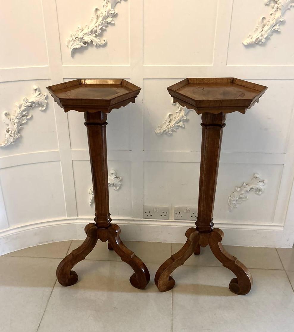 Antique Pair of Dutch Walnut and Kingwood Pedestal Torcheres (1 of 15) Antique Pair of Dutch Walnut and Kingwood Pedestal Torcheres (1 of 15)