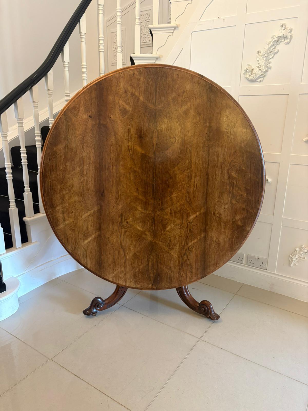 Item Main Image
