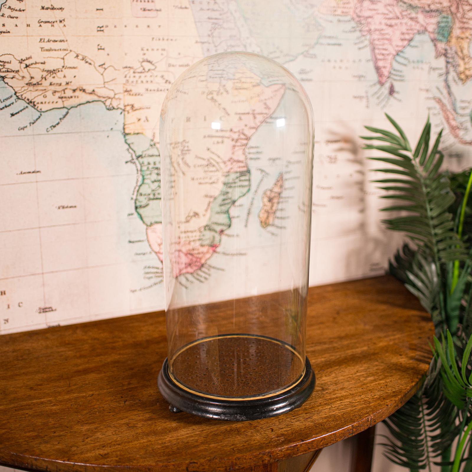 Large Antique Collector's Dome, English, Glass, Taxidermy, Specimen, Victorian (1 of 9)