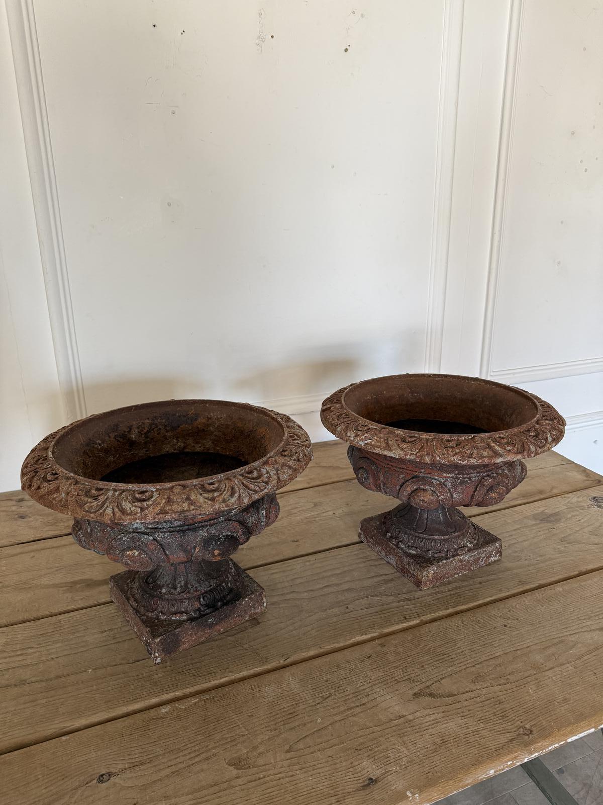 Nice Decorative Pair of Late 19th Cast Iron Planters    French Circa 1860’s   12 Inches High  16 Inches Diameter (1 of 6)