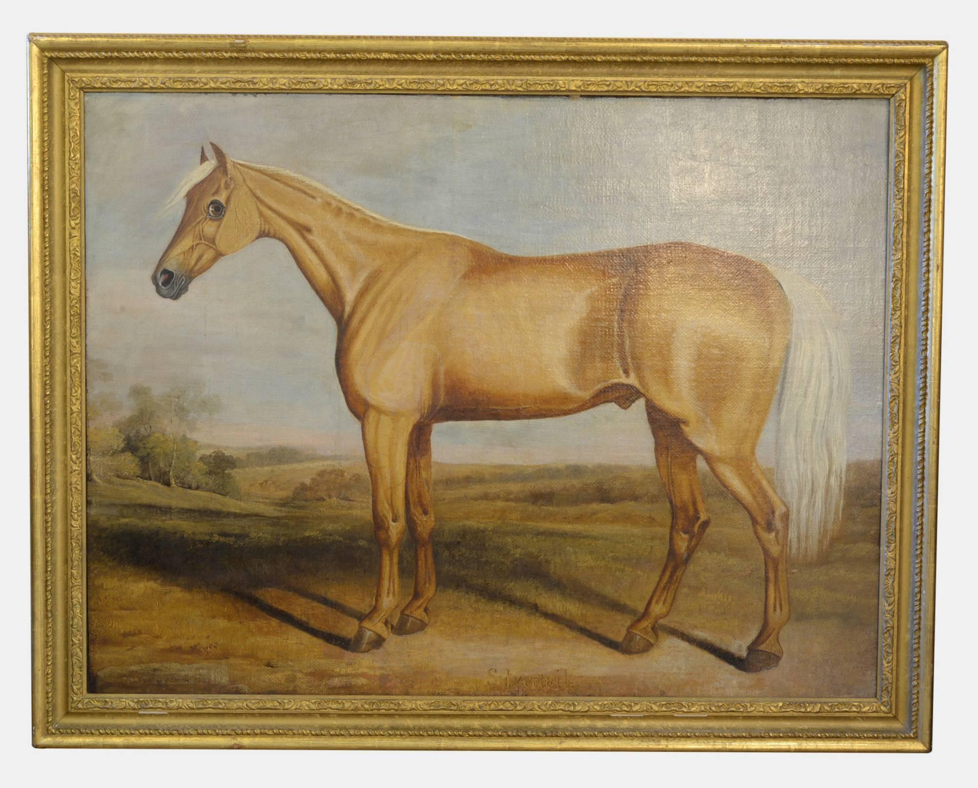 Oil Painting on Canvas Titled 'Silvertail' (1 of 1)