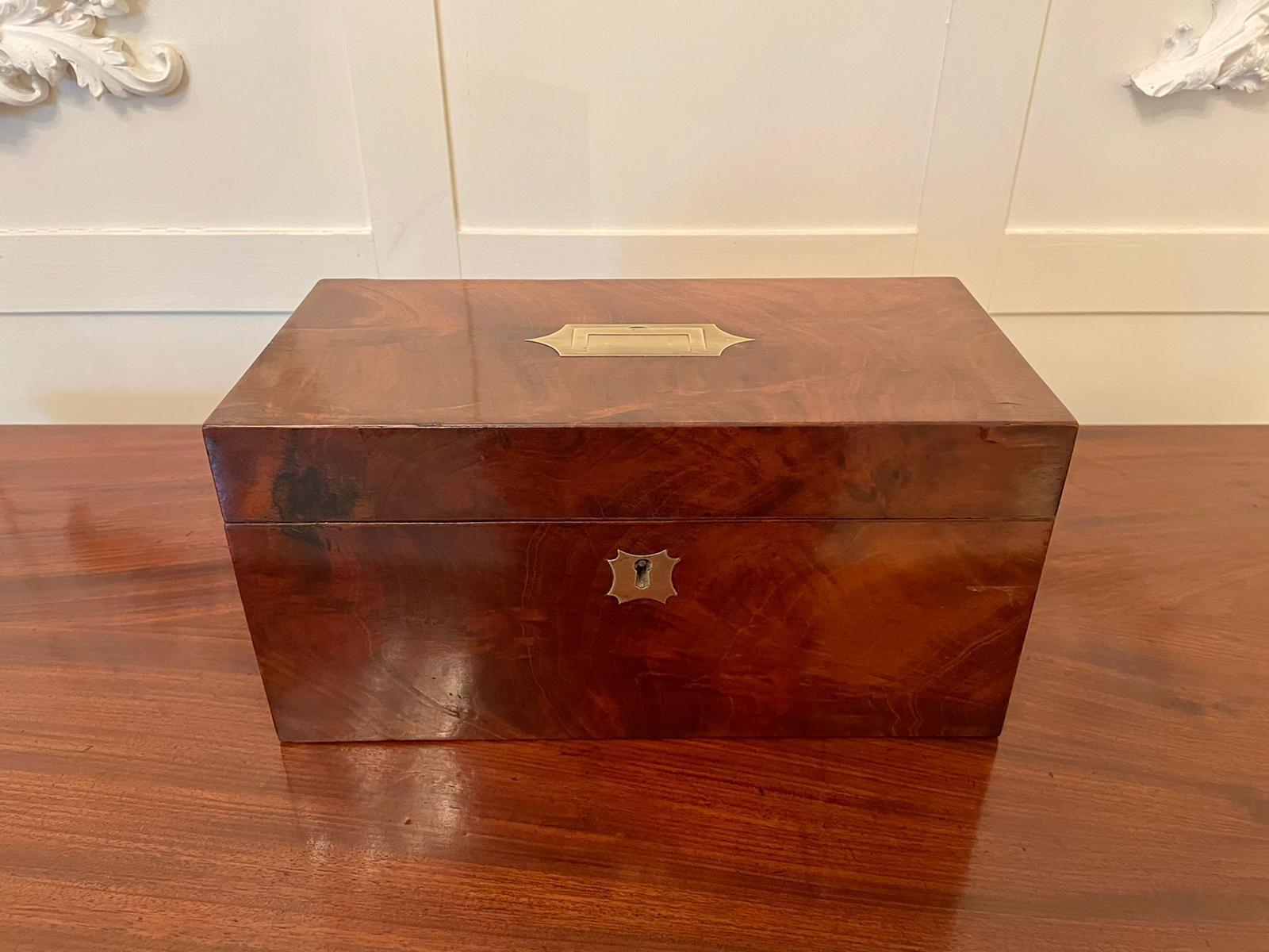 Antique Regency Quality Mahogany Tea Caddy (1 of 11) Antique Regency Quality Mahogany Tea Caddy (1 of 11)