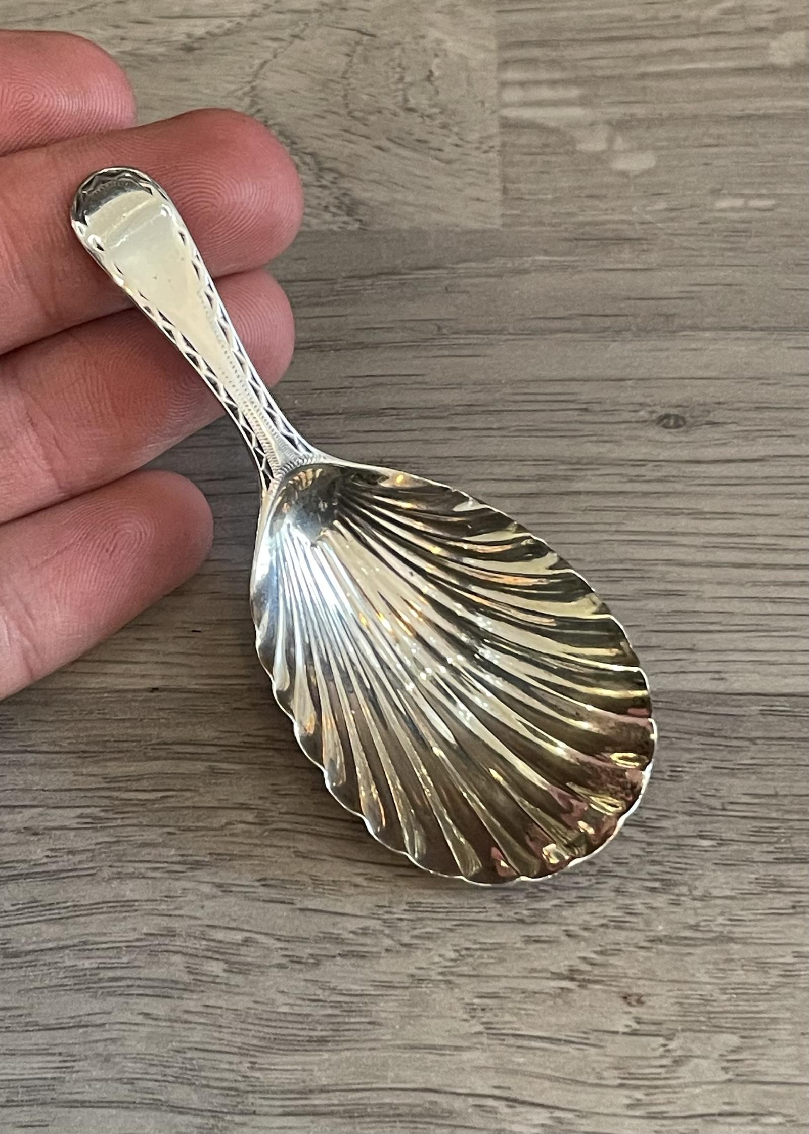 George III Silver Shell Caddy Spoon 1781 (1 of 5) George III Silver Shell Caddy Spoon 1781 (1 of 5)