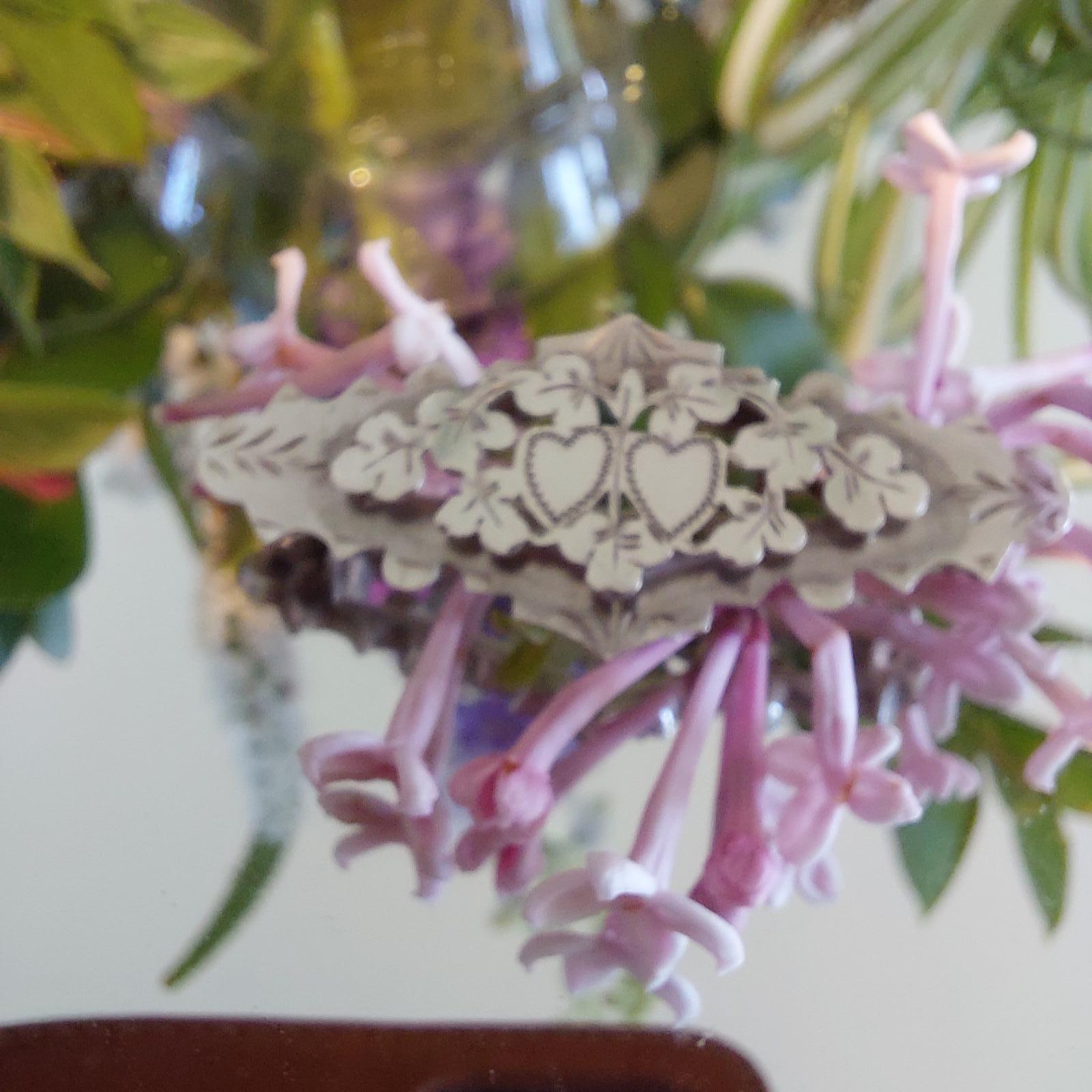 Silver Brooches - main image
