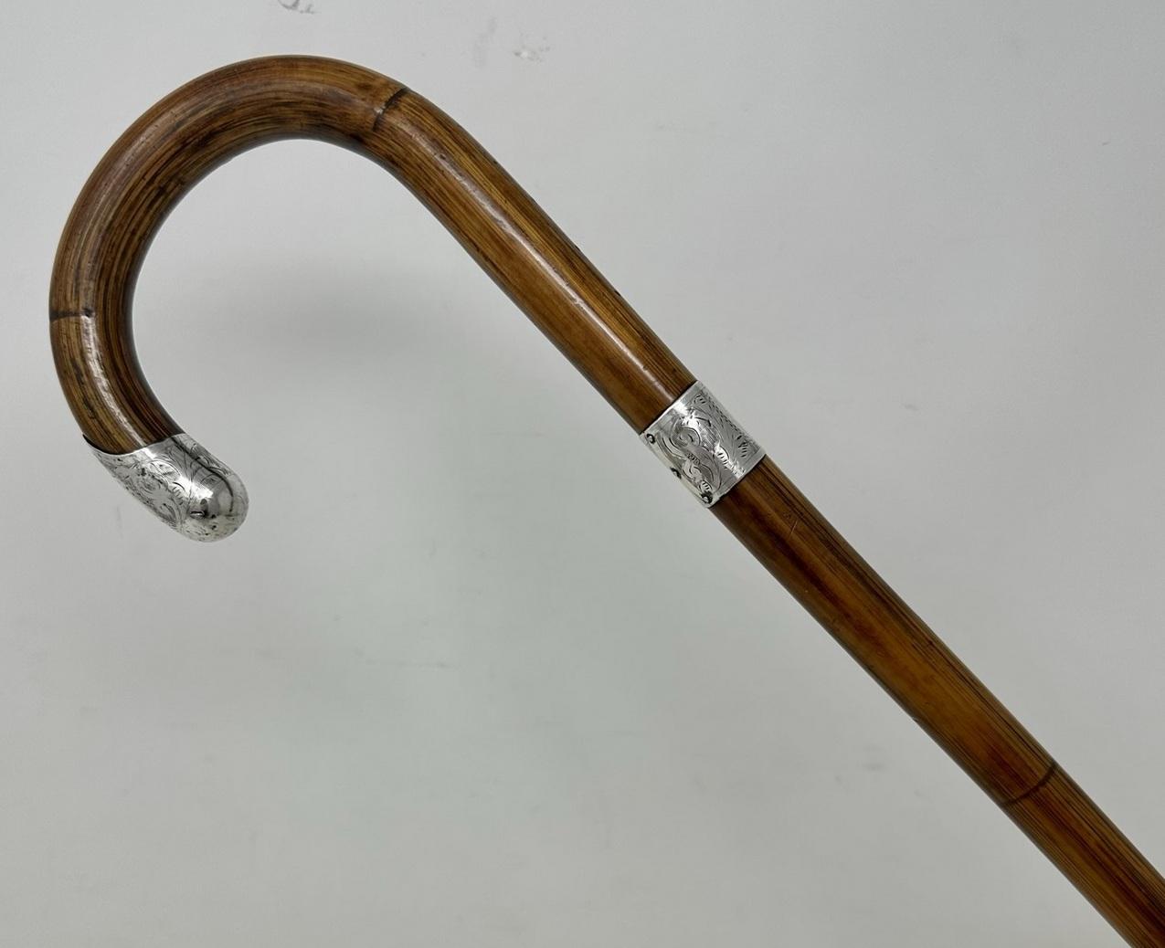 Antique Vintage Lady's Gentleman's Walking Stick Sterling Silver Crook Handle (1 of 10) Antique Vintage Lady's Gentleman's Walking Stick Sterling Silver Crook Handle (1 of 10)