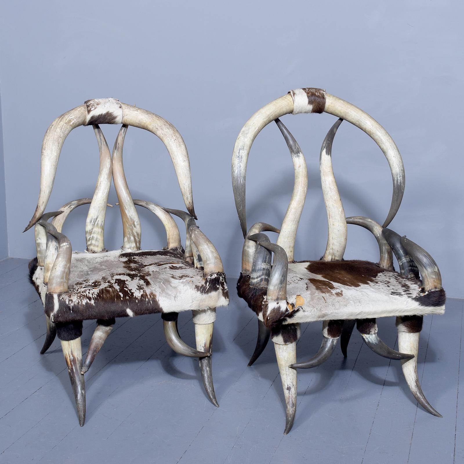 Large Pair of Zoomorphic Long Horn Armchairs (1 of 9)