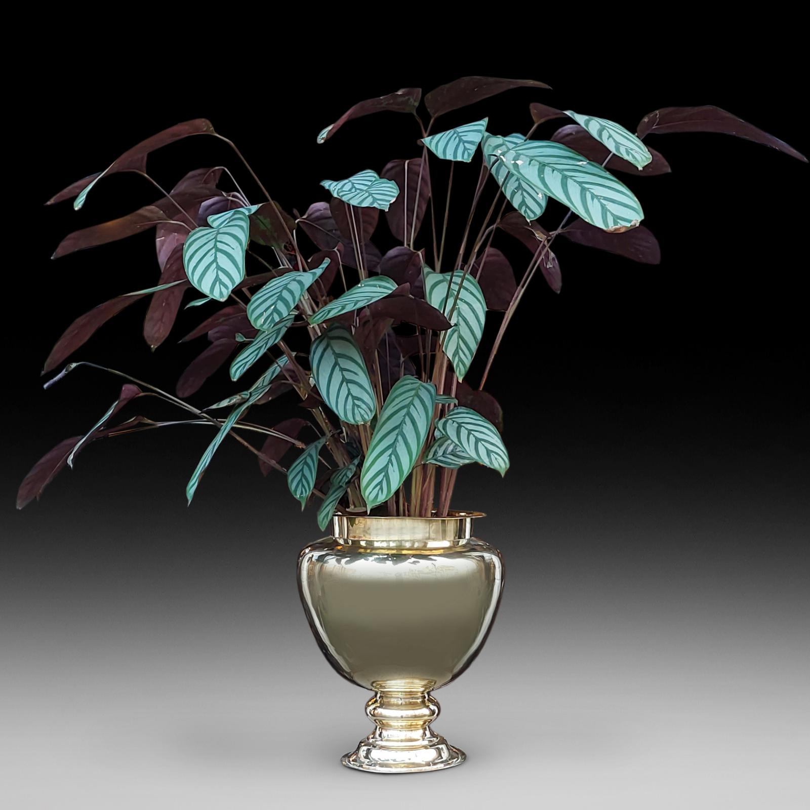 Victorian Brass Planter (1 of 6) Victorian Brass Planter (1 of 6)