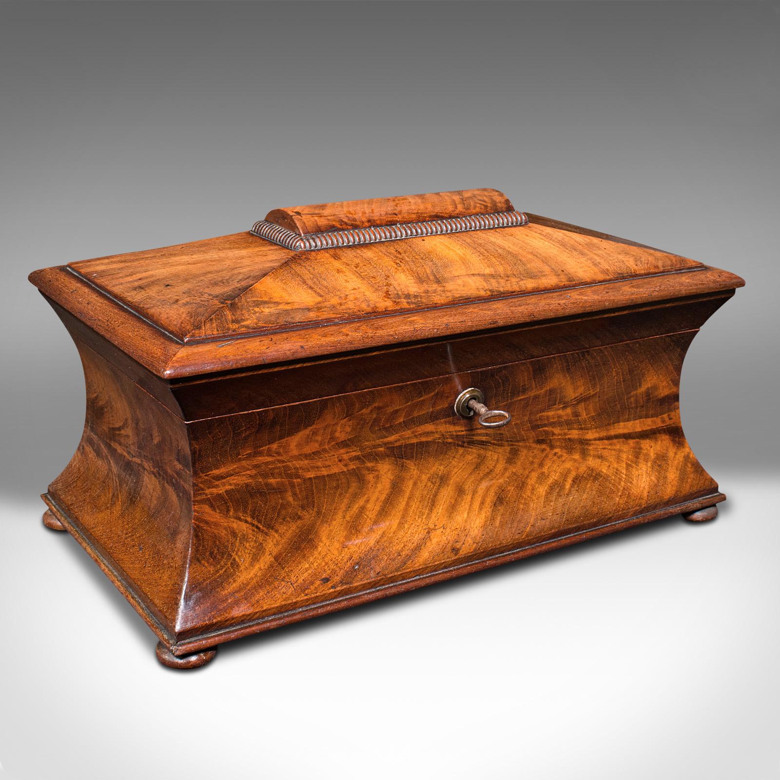Antique Drawing Room Tea Caddy, English, Flame, Sarcophagus, Regency c.1820 (1 of 12)
