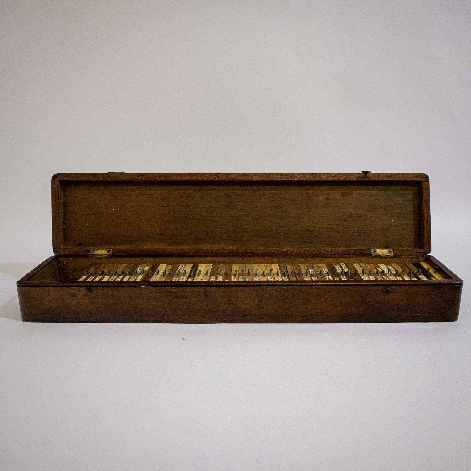 Rare 19th Century Wood Specimen Box (1 of 11)