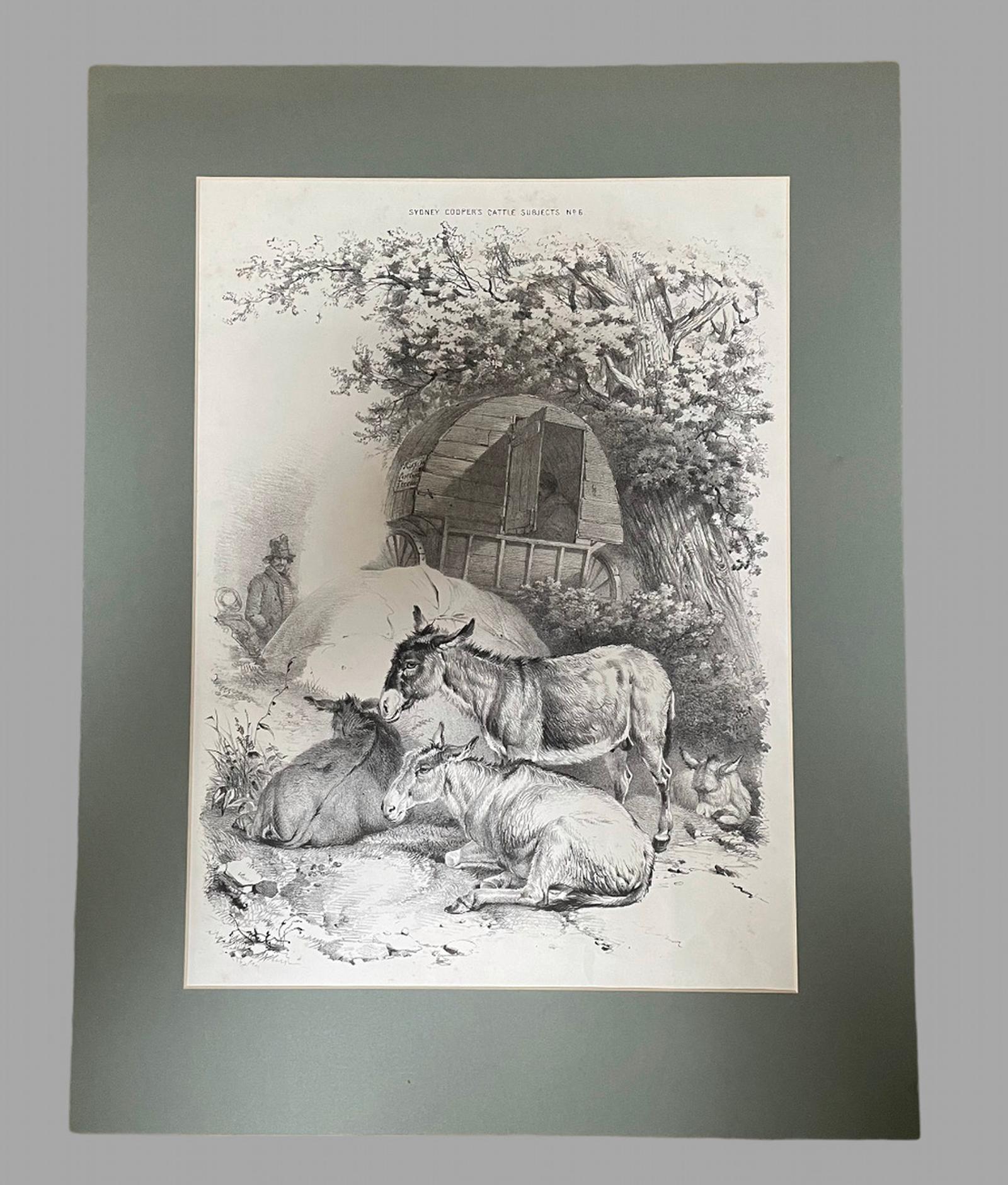 Thomas Sidney Cooper Lithograph of Donkeys c.1830 (1 of 5)