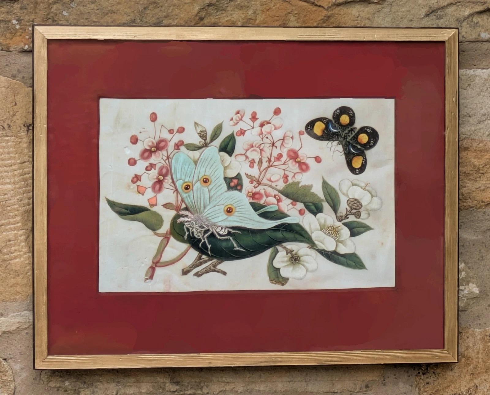 Antique Chinese Watercolour Painting Butterflies and Blossoms (1 of 7) Antique Chinese Watercolour Painting Butterflies and Blossoms (1 of 7)