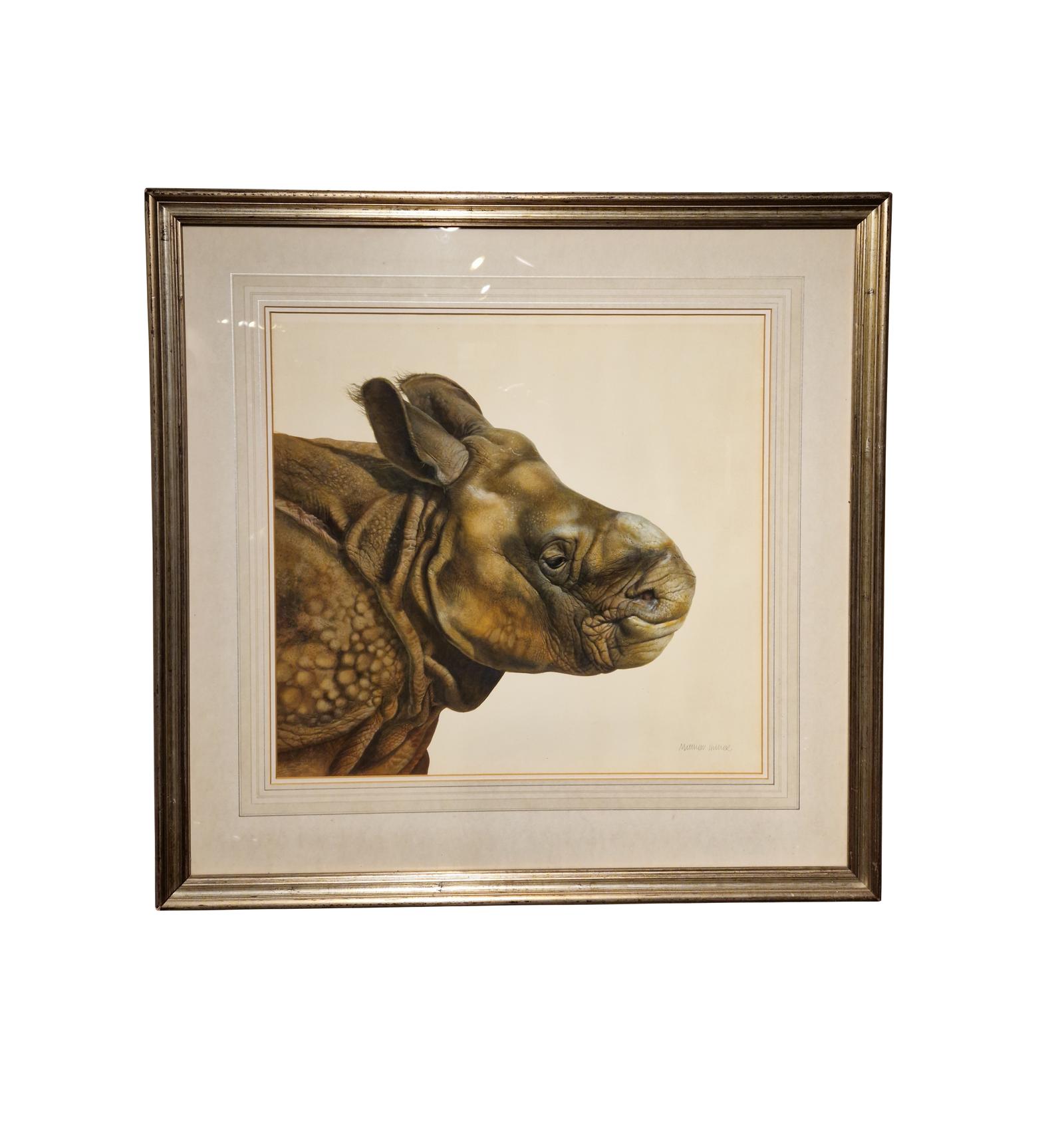 Mathew Hillier "Baby Indian Rhino" (1 of 1)