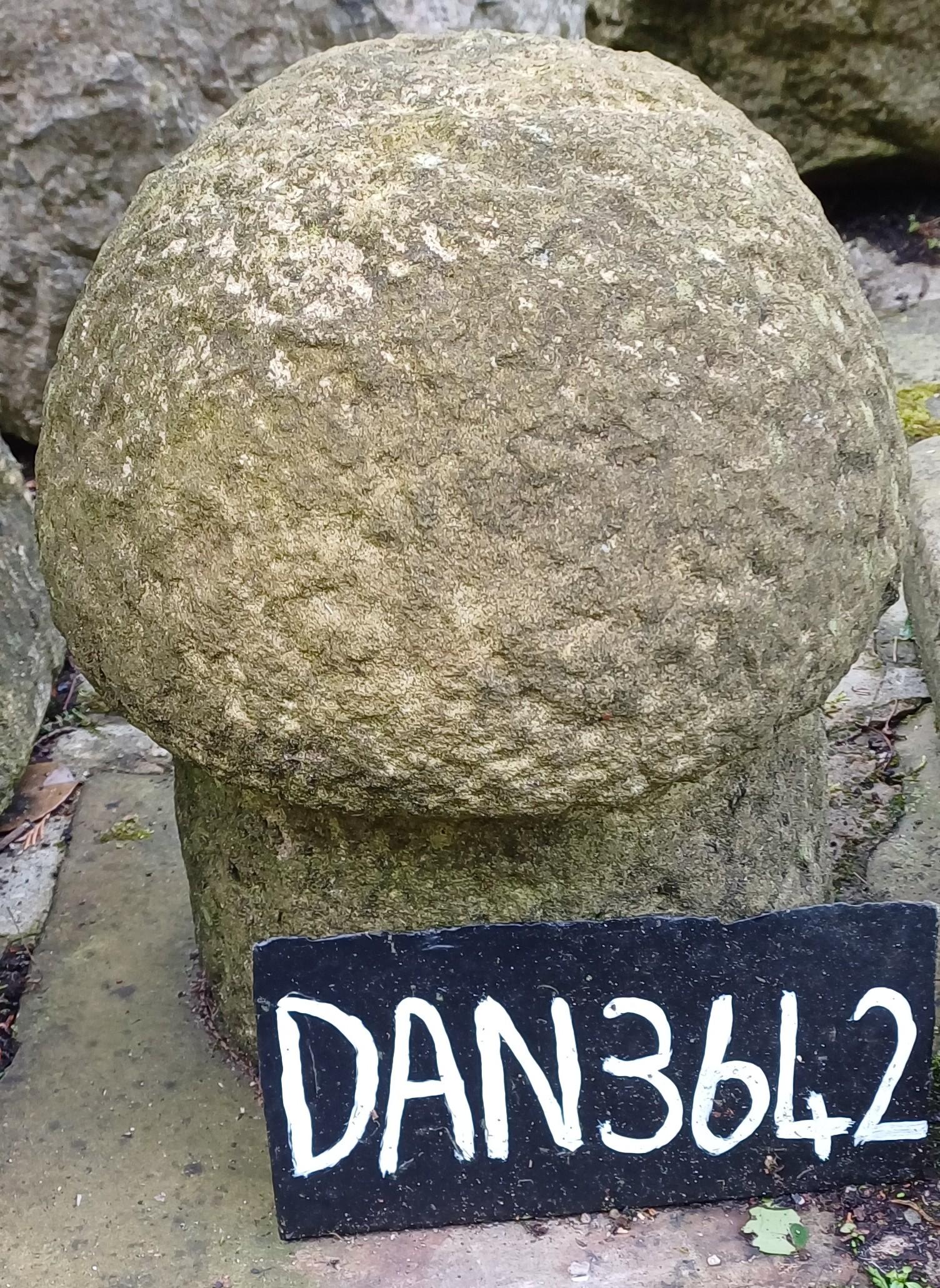 Old York Stone  Mushroom (1 of 1)