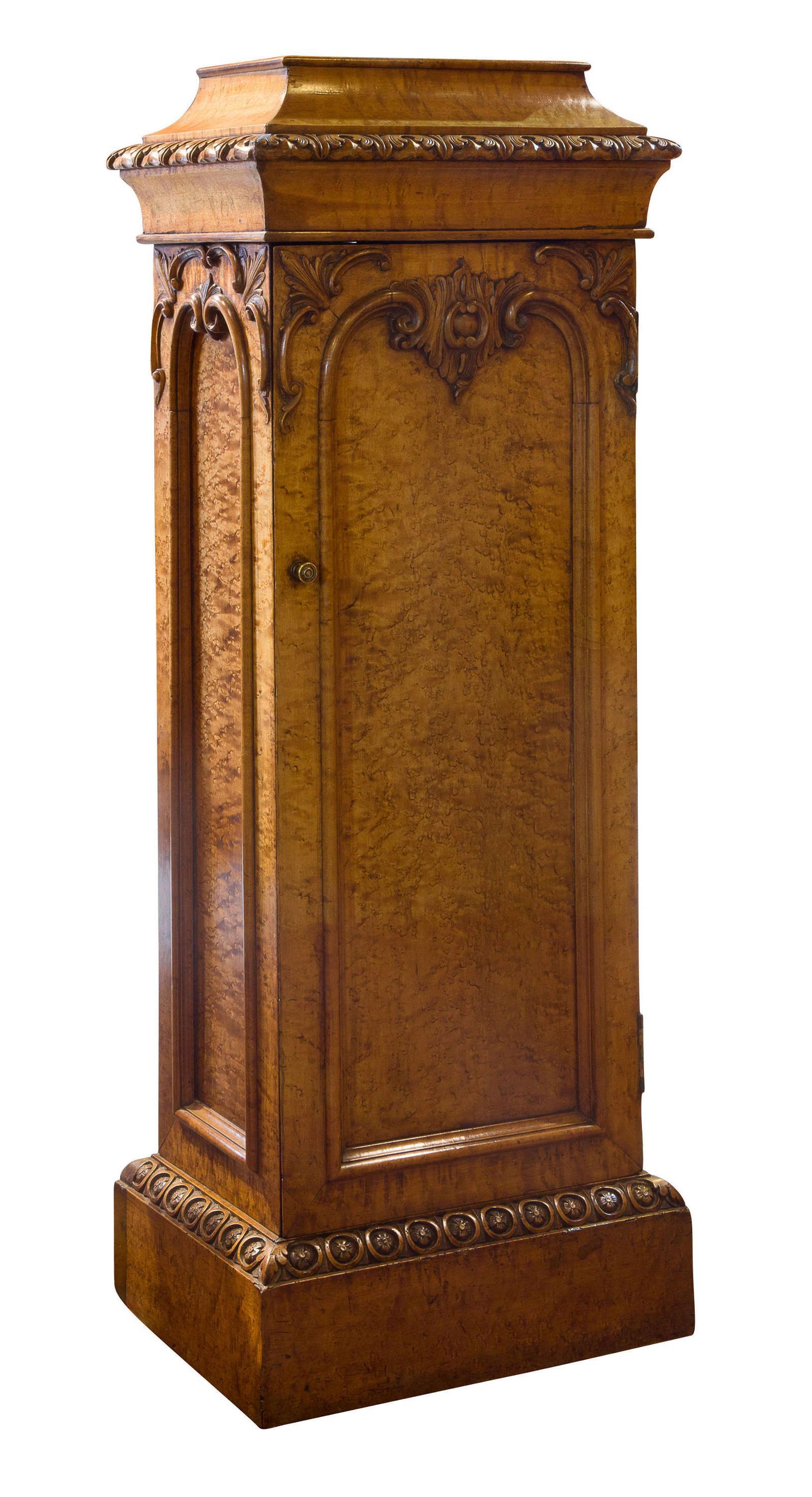 19th Century Pedestal Cupboard (1 of 1)