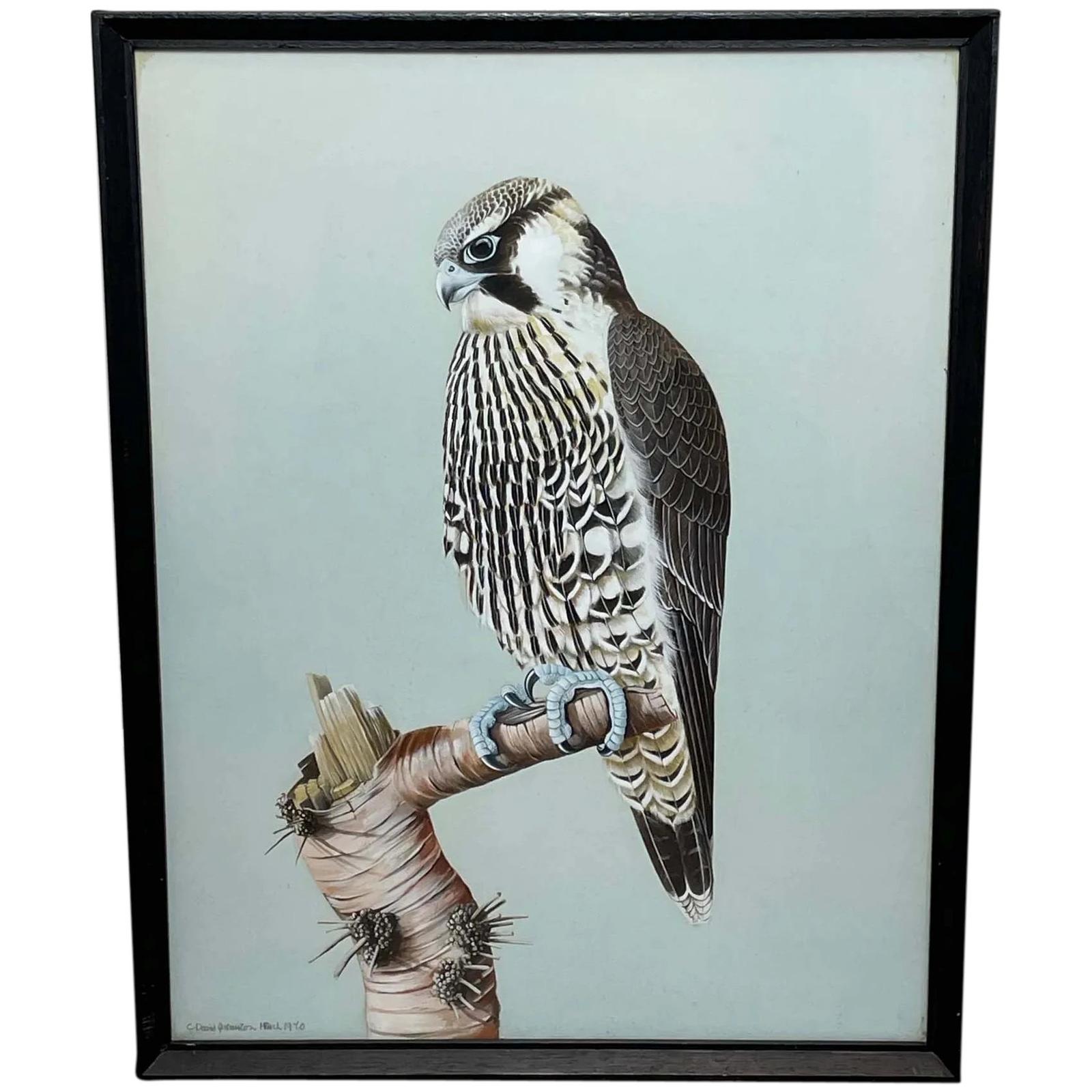 British Watercolour Peregrine Falcon Bird of Prey by David Johnston (1 of 30)