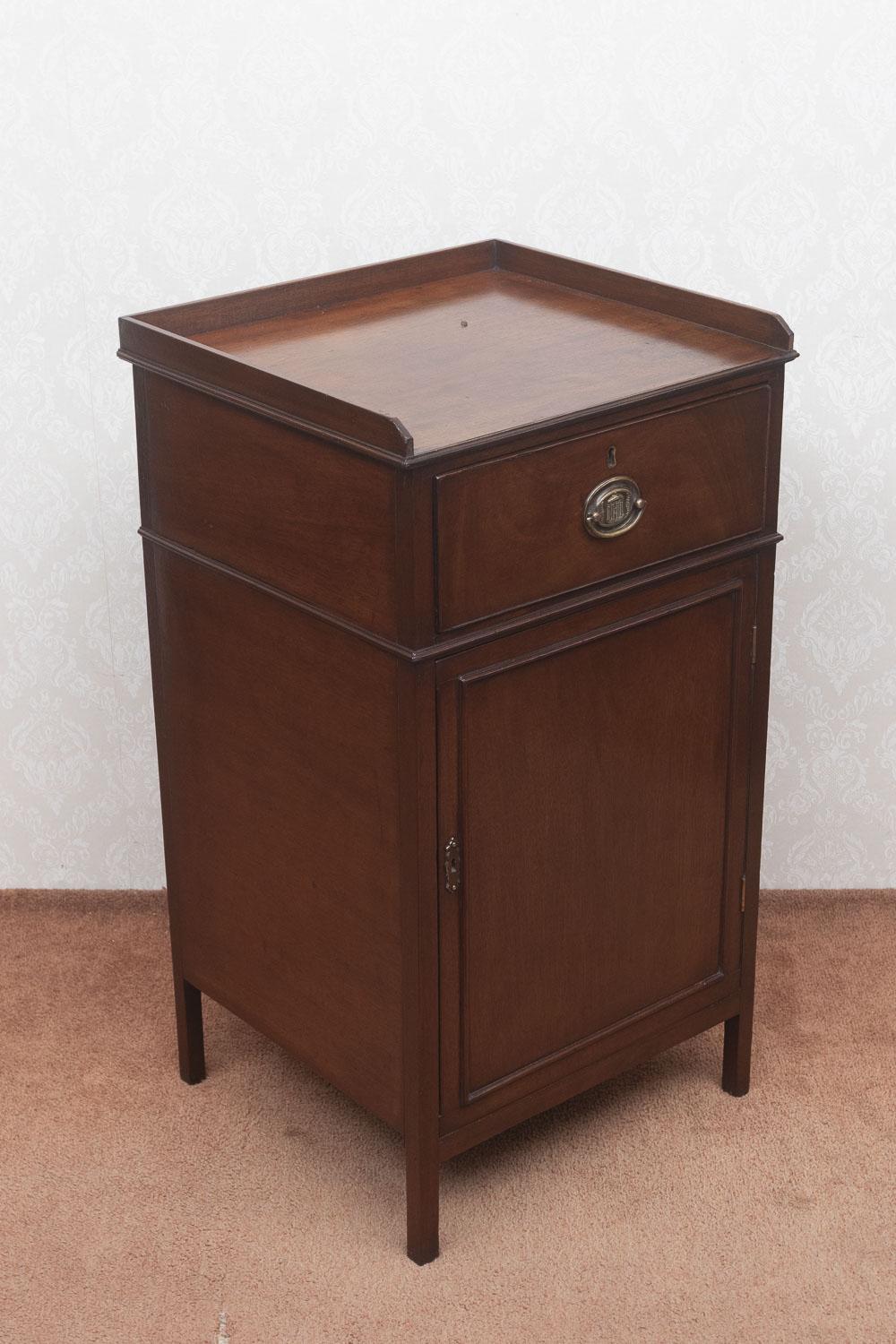 Early 19th Century Mahogany Bedside Cupboard (1 of 9)