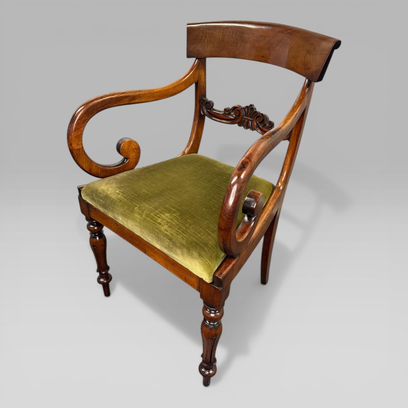 English 19th Century Mahogany Carver Chairs - main image