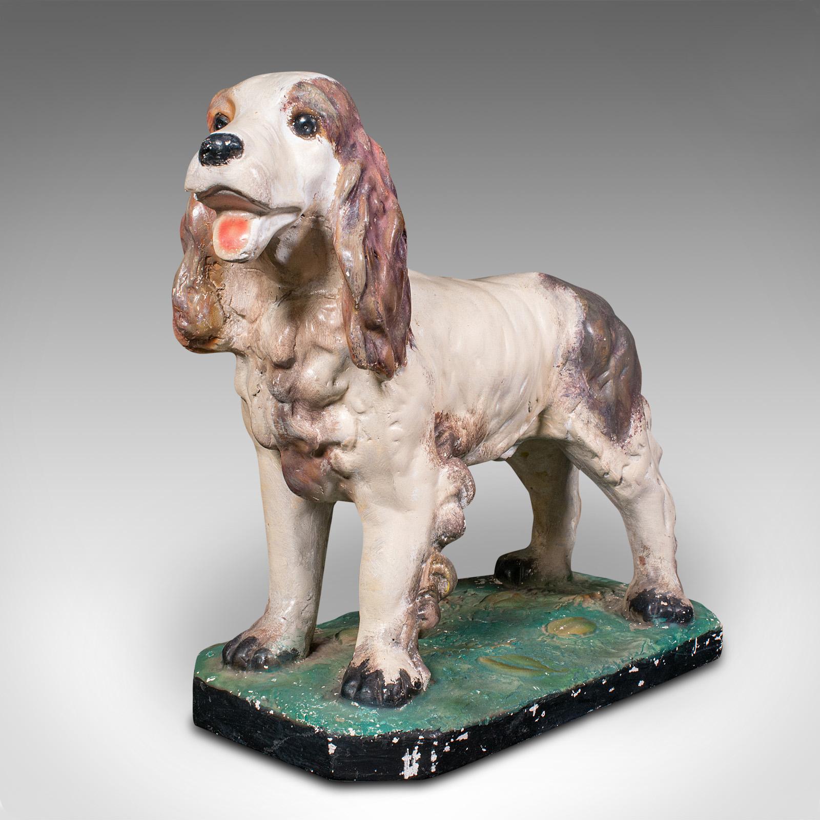 Large Antique Cocker Spaniel Figure, English, Plaster, Dog Statue, Edwardian (1 of 12)