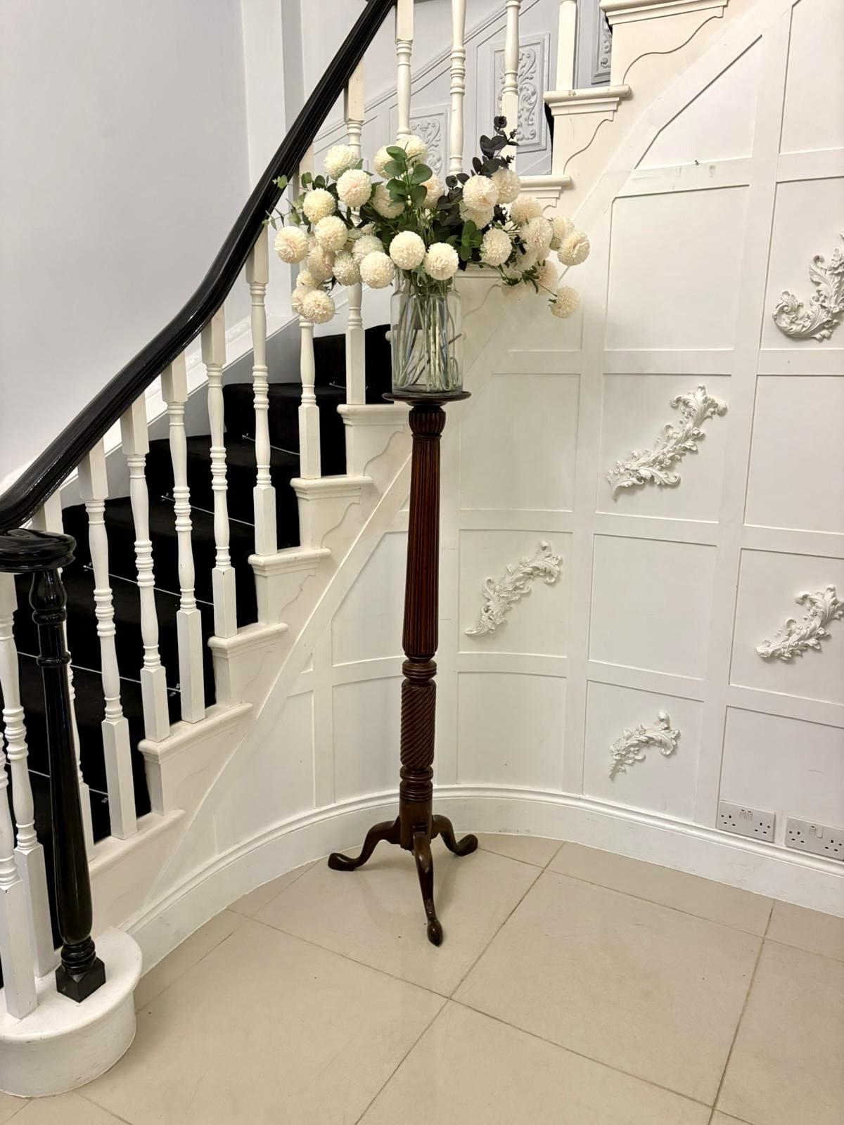 Item Main Image Item Main Image