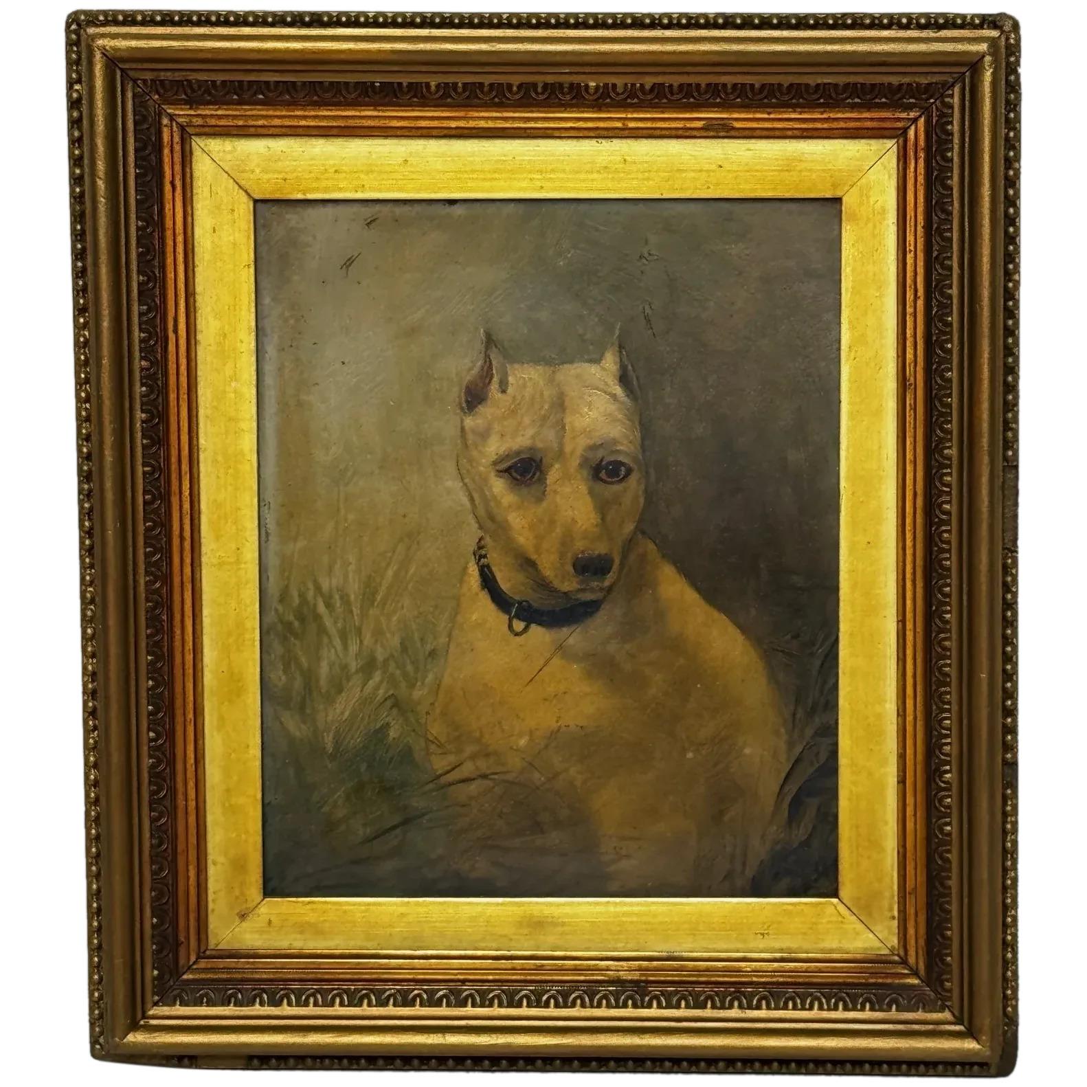 19th Century Oil Painting Sad White English Terrier Dog Follower of John Emms (1 of 40)
