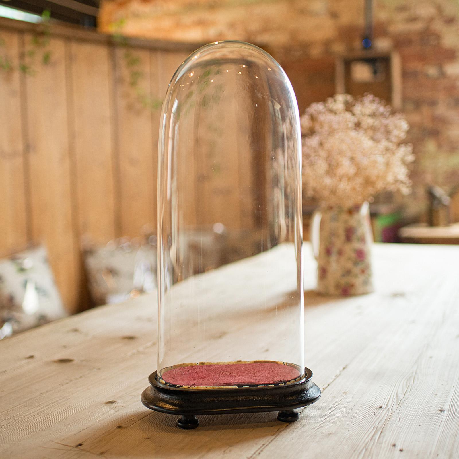 Antique Mantel Clock Dome, English, Glass, Taxidermy Showcase, Late Victorian (1 of 9) Antique Mantel Clock Dome, English, Glass, Taxidermy Showcase, Late Victorian (1 of 9)