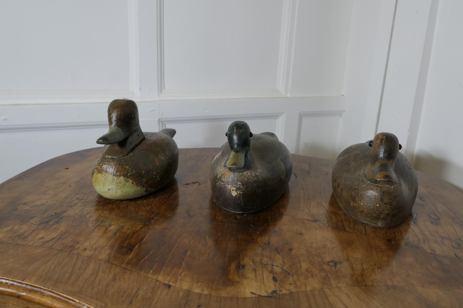 Three Painted and Carved Decoy Ducks (1 of 10) Three Painted and Carved Decoy Ducks (1 of 10)