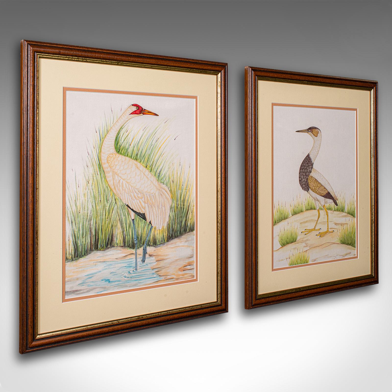 Pair Of Antique Bird Paintings, English, Framed Silk Art, Ornithology, Victorian (1 of 11)