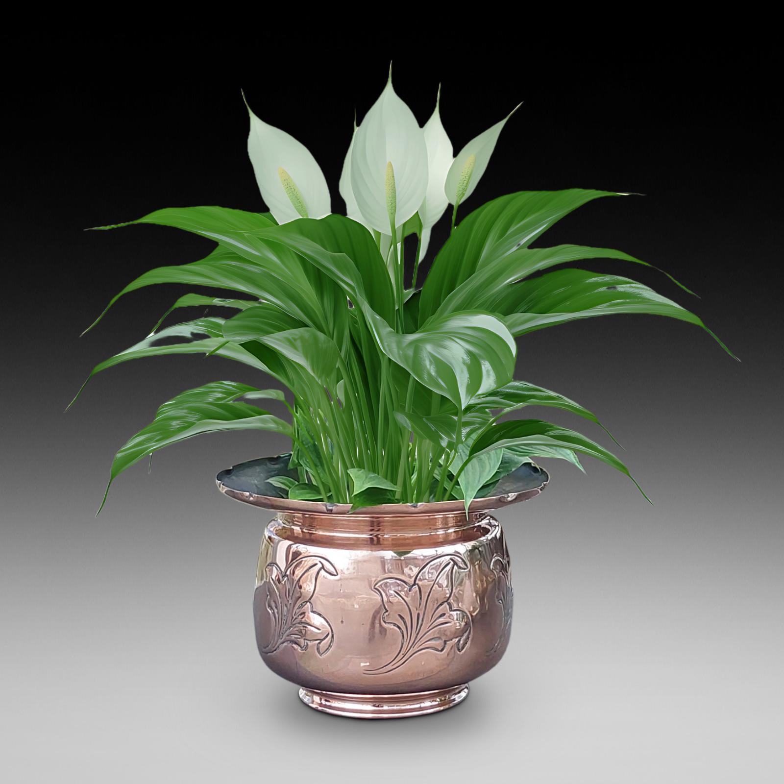 Late Victorian Copper Planter (1 of 3) Late Victorian Copper Planter (1 of 3)