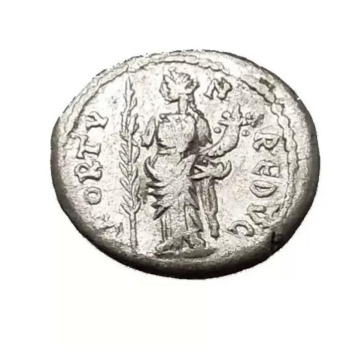 undefined - main image