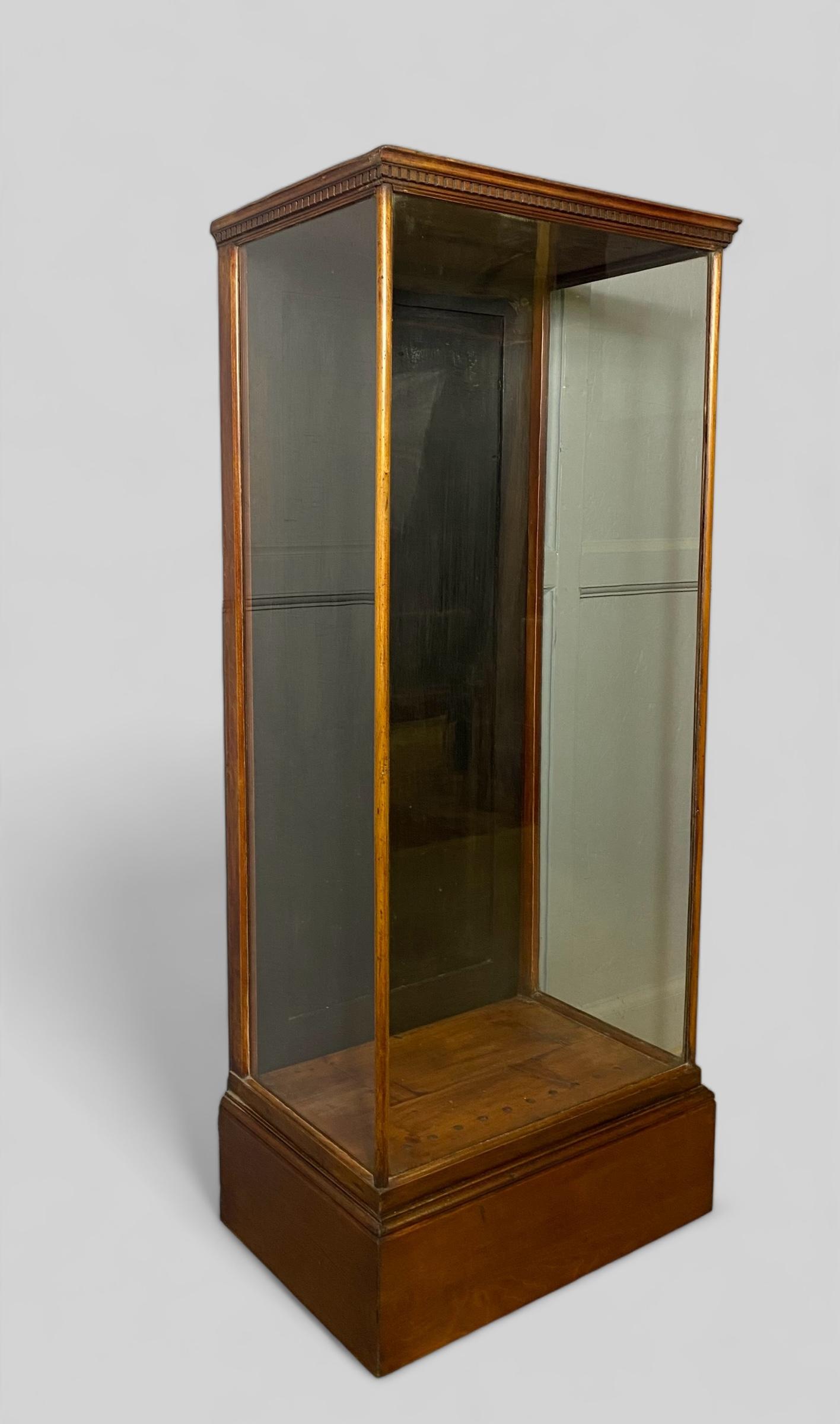 Mahogany & Pine Display Cabinet (1 of 8)