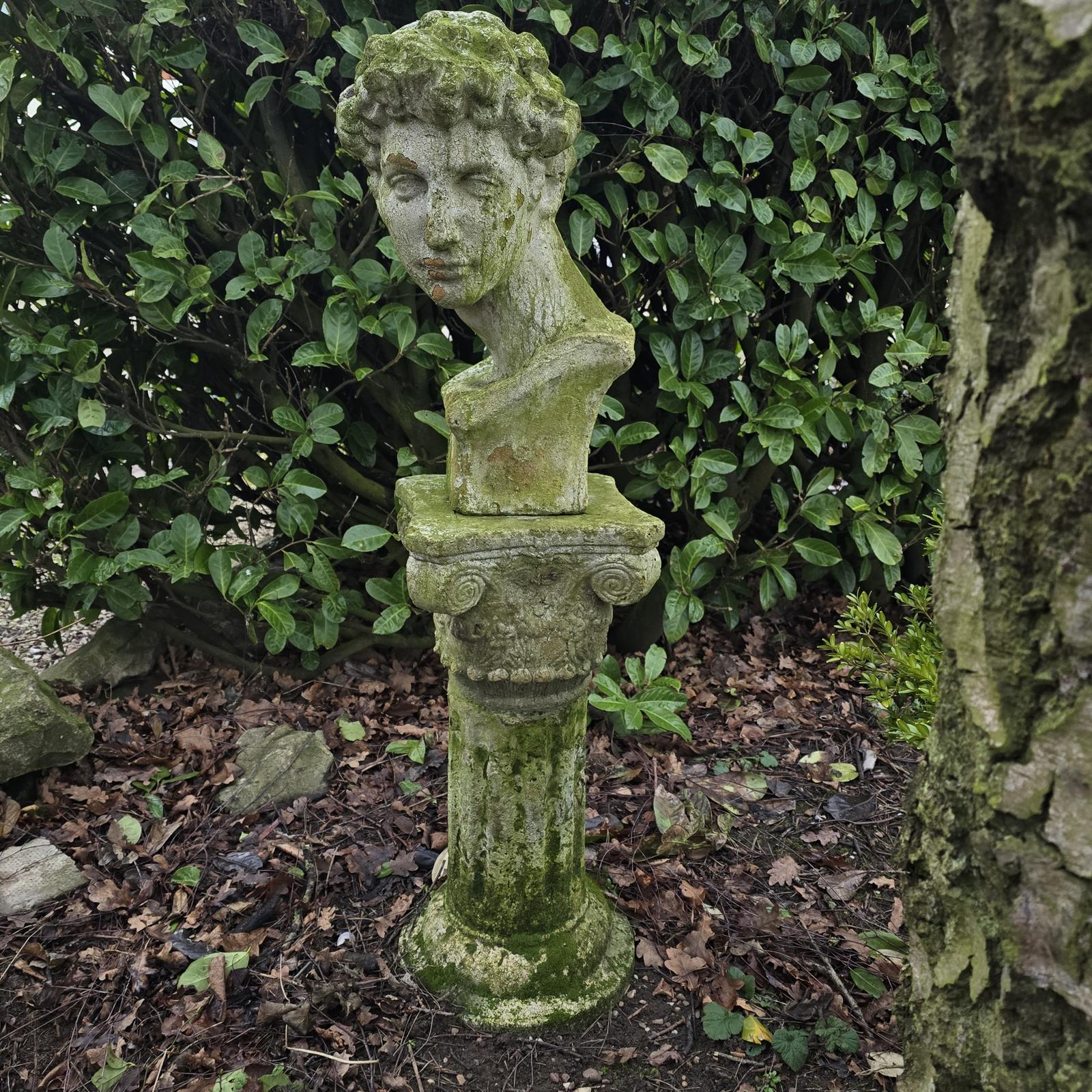 Well Weathered Bust of David on Plinth (1 of 4)