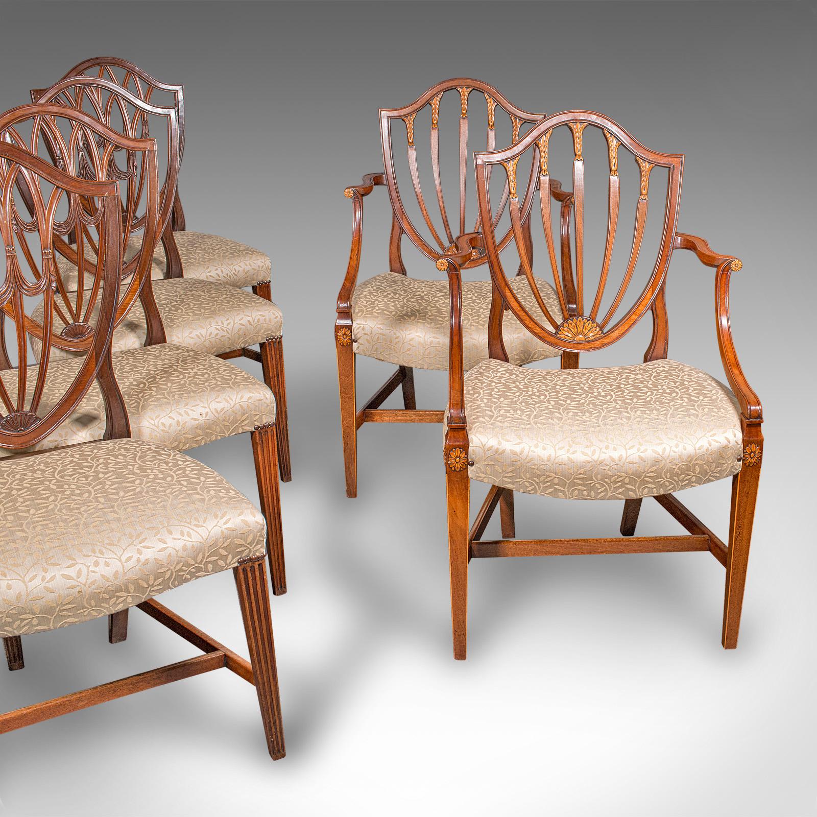 Antique Dining Chair Suite, English, Carver & Slipper Chairs - Georgian c.1800 (1 of 12)