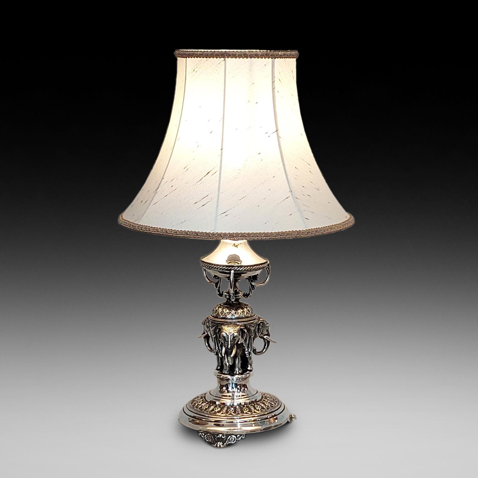 Anglo Indian Silver Plated Table Lamp (1 of 9)
