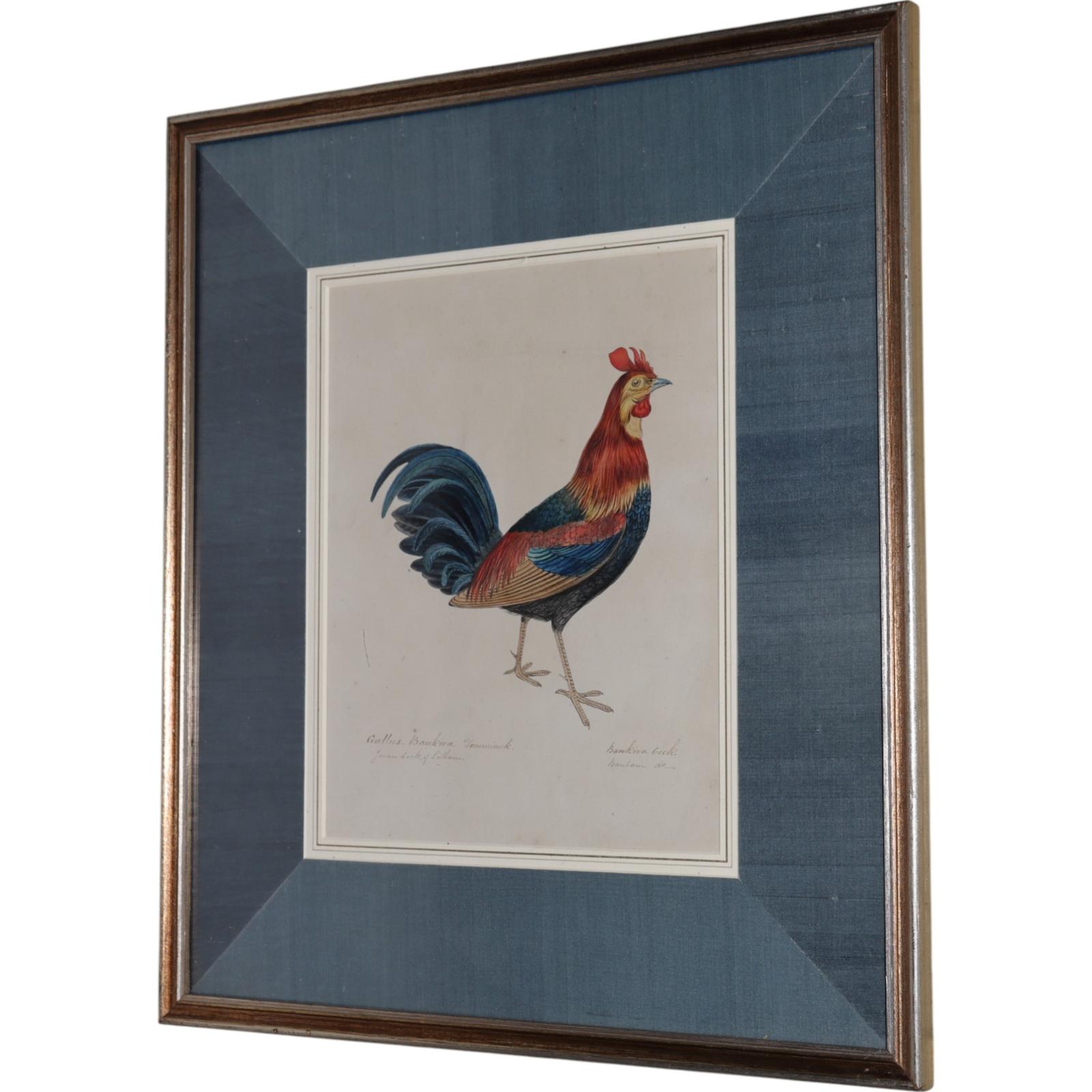 Colonial School Watercolour (1 of 6)