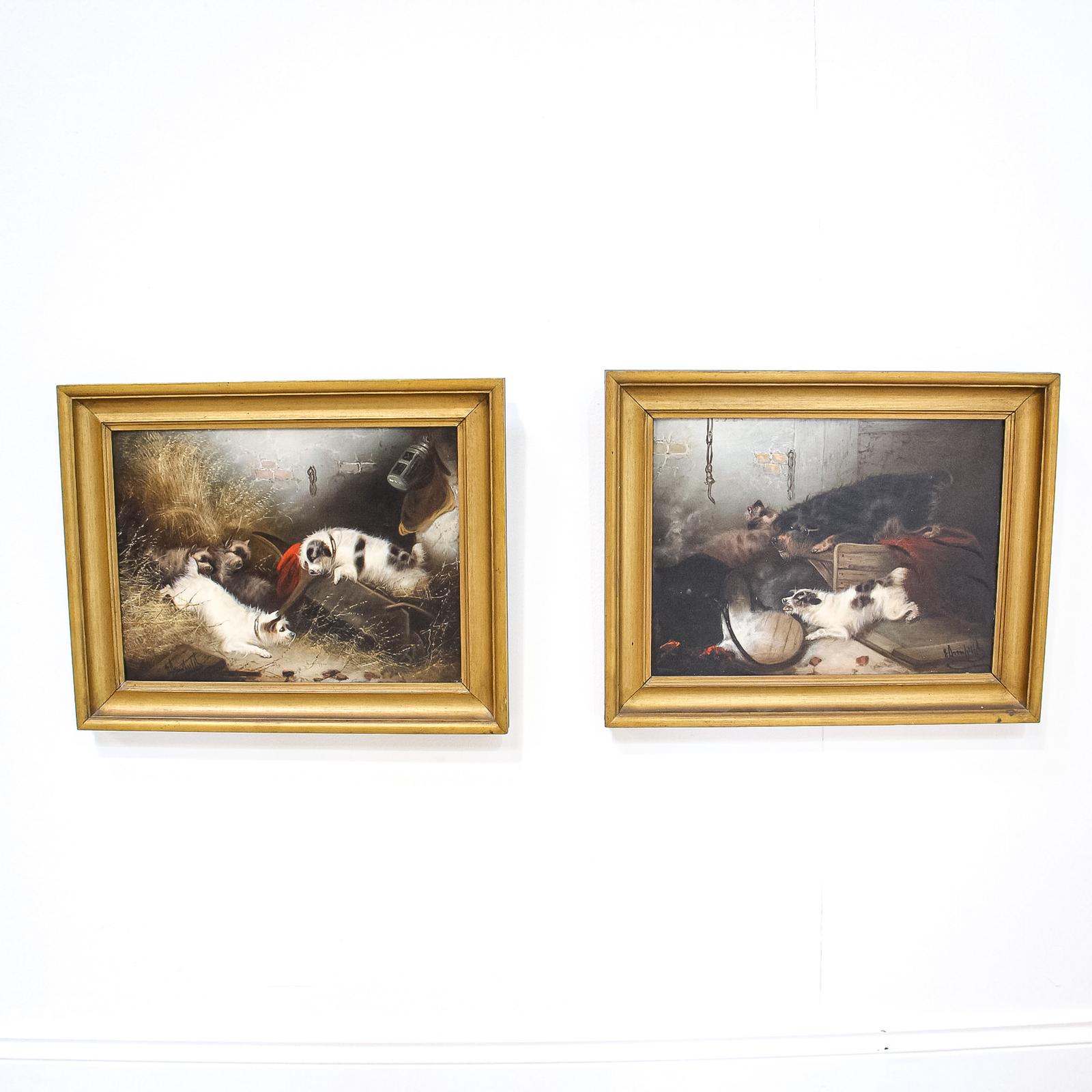 Pair of Oil Paintings of Terrier Dogs by Edward Armfield (1 of 6)