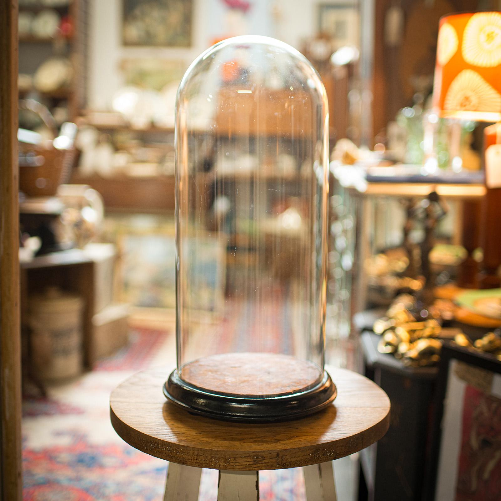 Tall Antique Specimen Dome, English, Glass, Taxidermy, Display Case, Victorian (1 of 9)