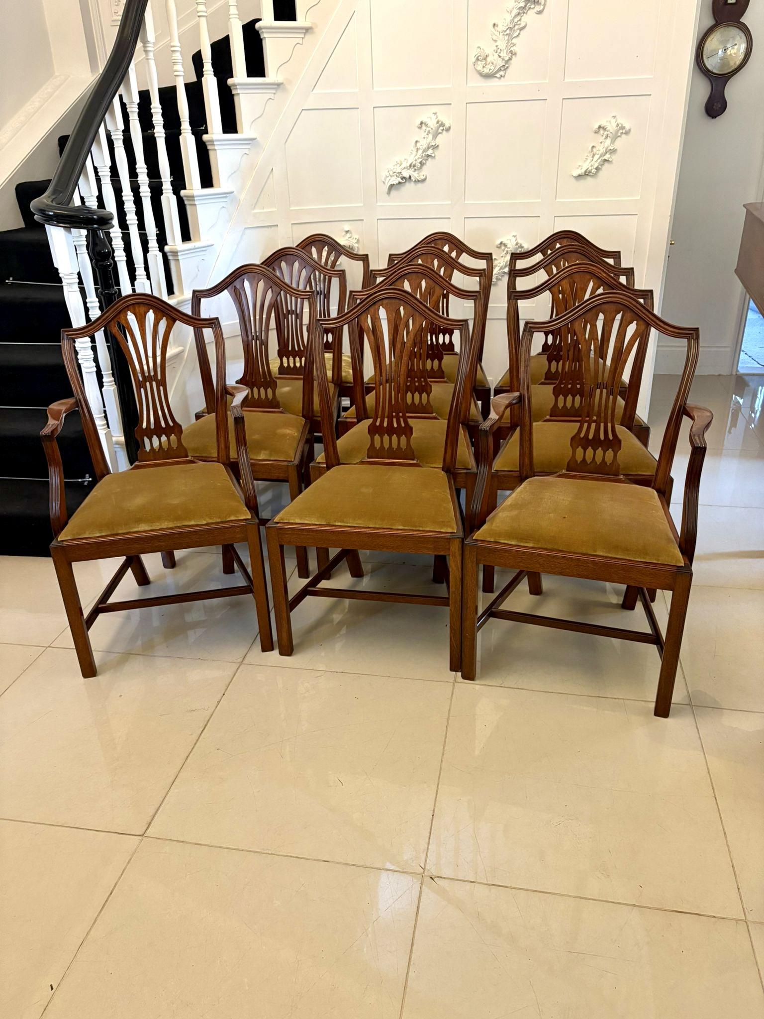 Quality Set of 12 Antique Mahogany Hepplewhite Style Dining Chairs (1 of 17)