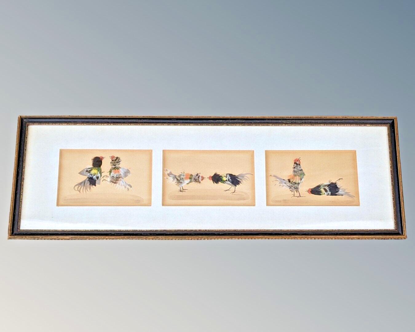 Feather Work Study Cockfighting Pictures (1 of 6)