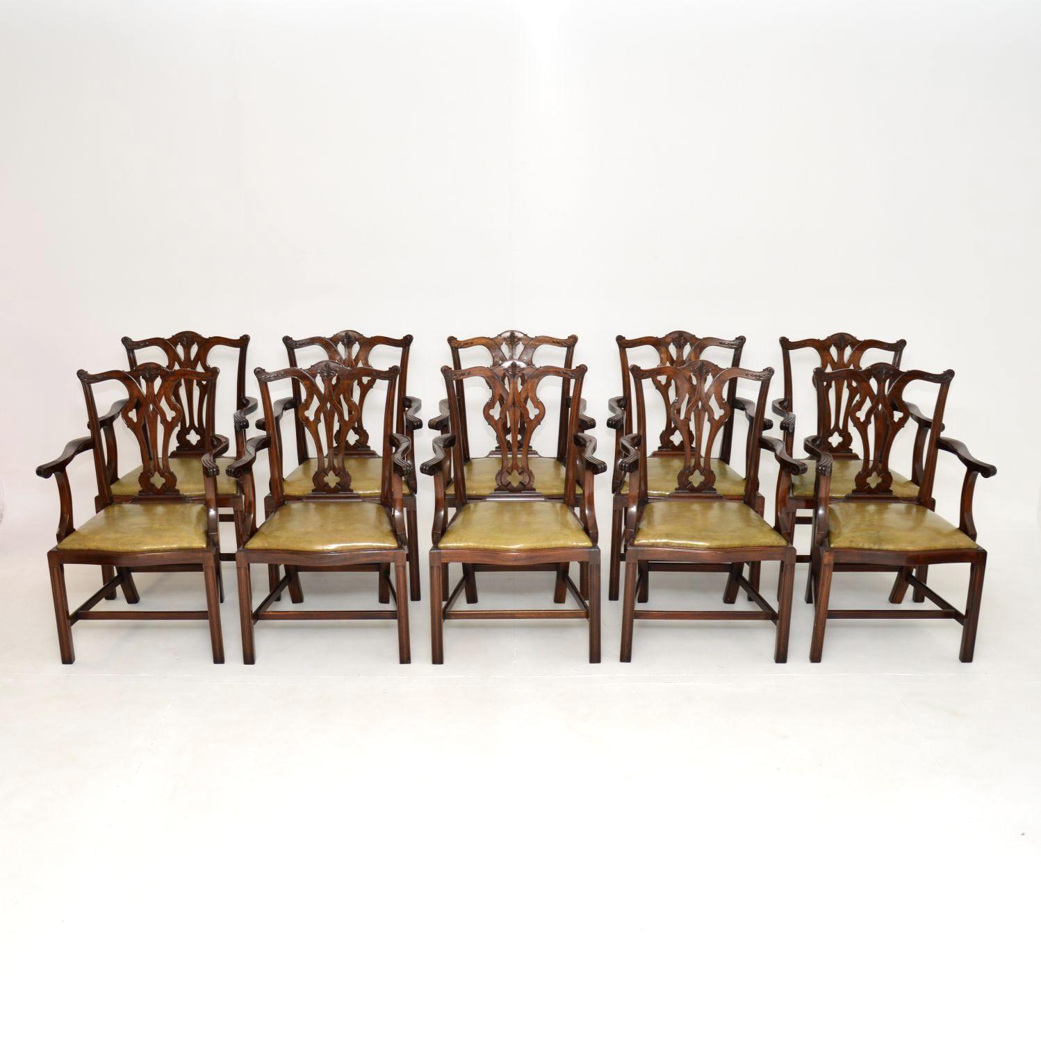 Set of 10 Antique Mahogany Chippendale Style Carver Dining Chairs (1 of 12) Set of 10 Antique Mahogany Chippendale Style Carver Dining Chairs (1 of 12)