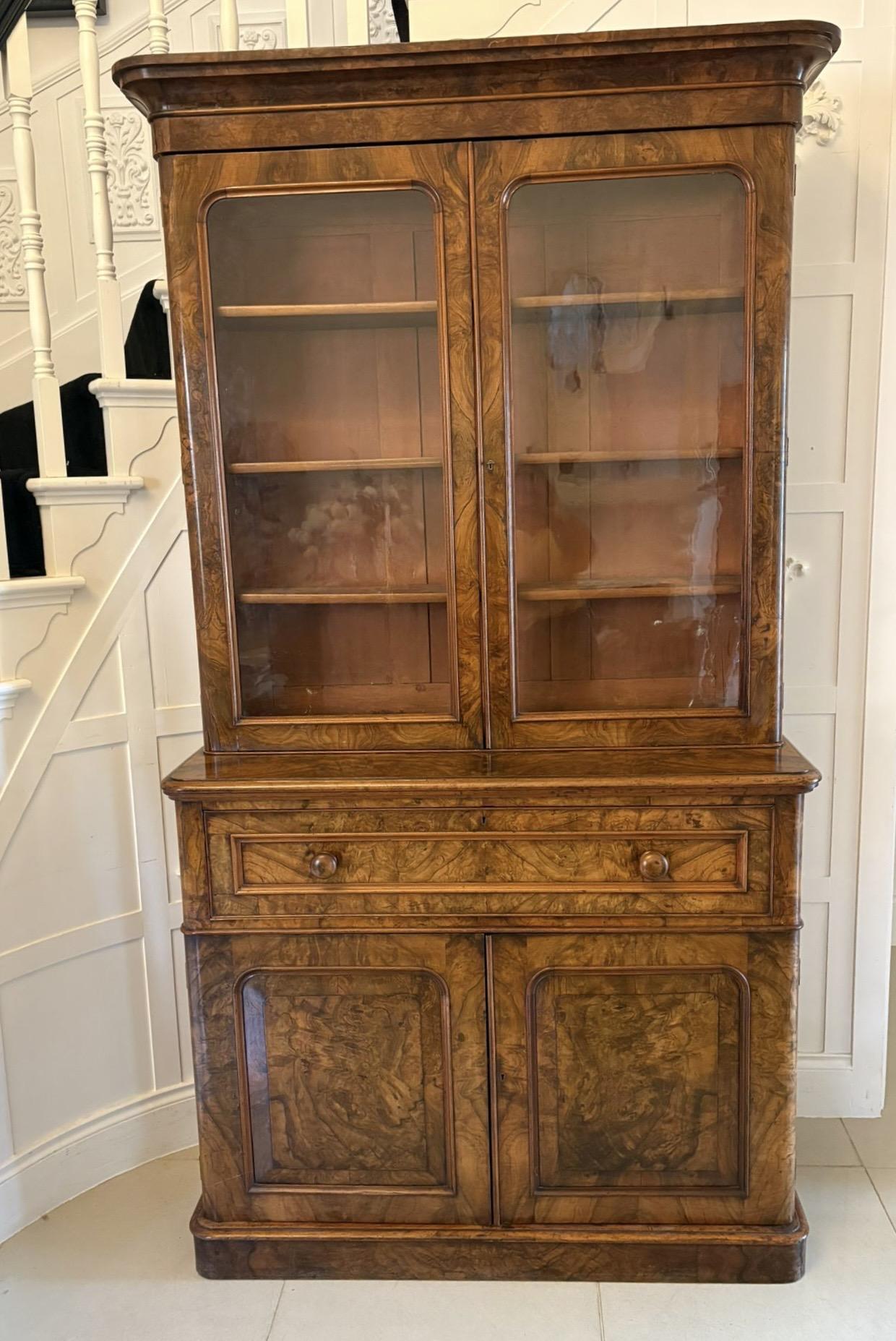 Item Main Image